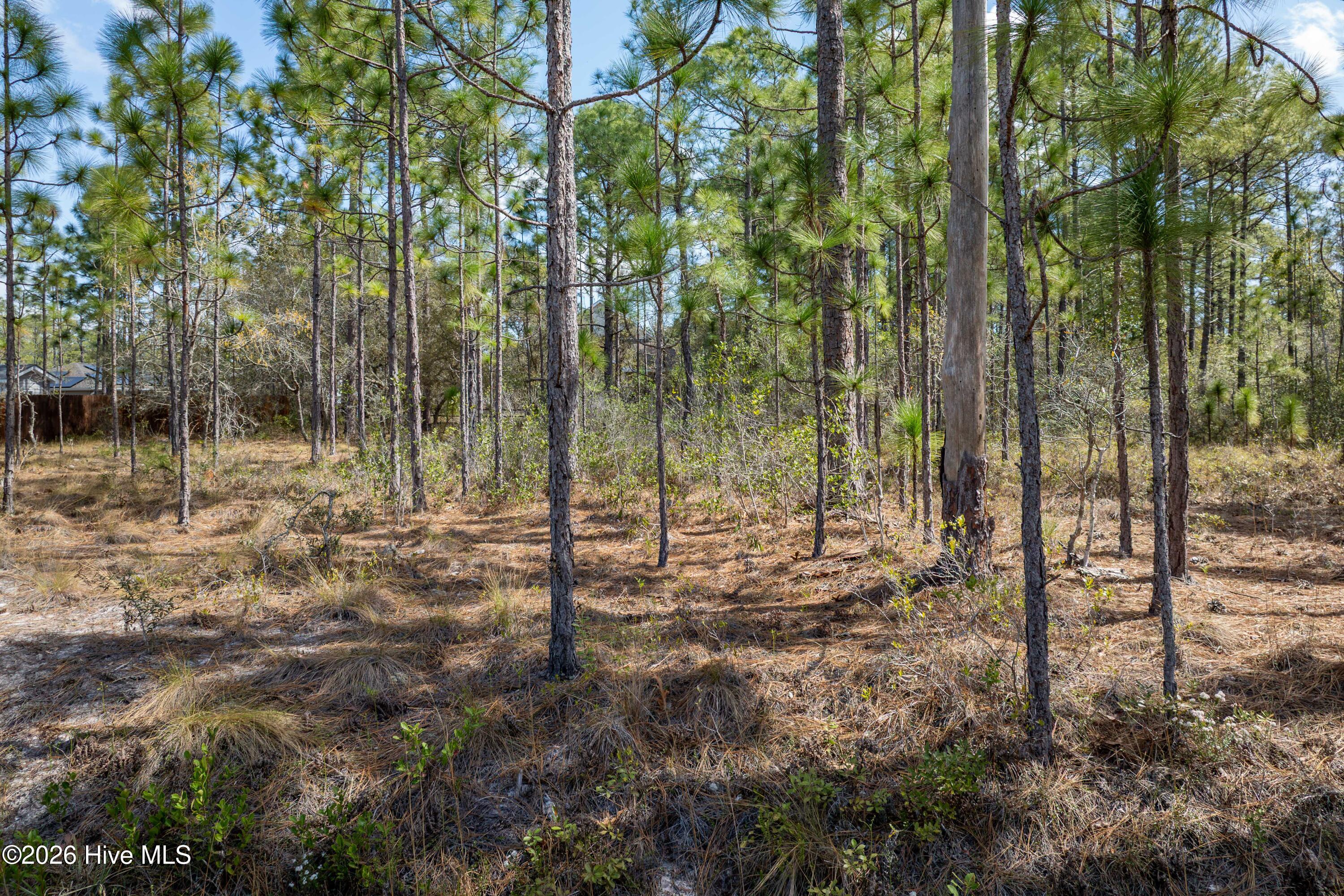 100563736 | Photo 14