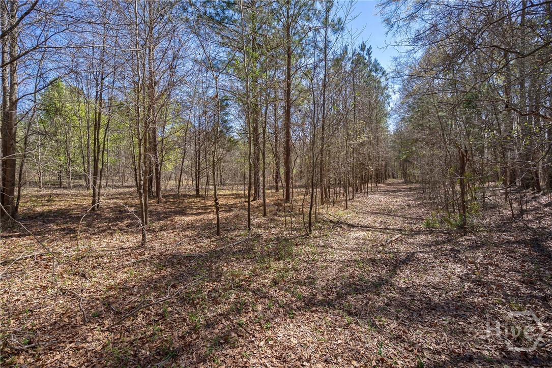 0 Poplar Street, Monroe, GA, 30655