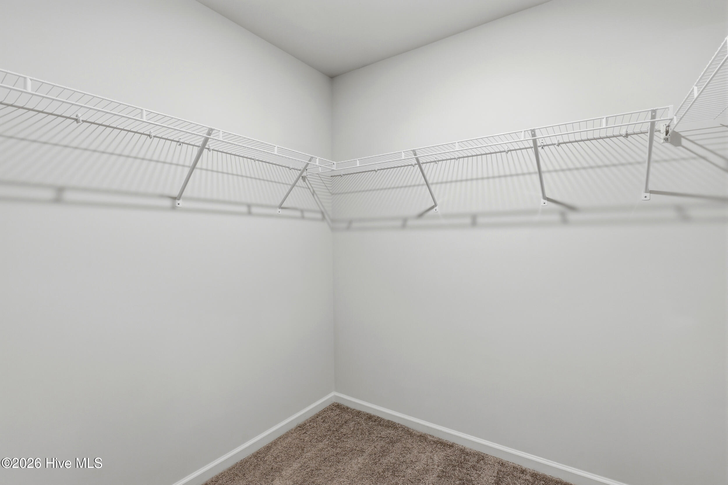 100558236 | Photo 19