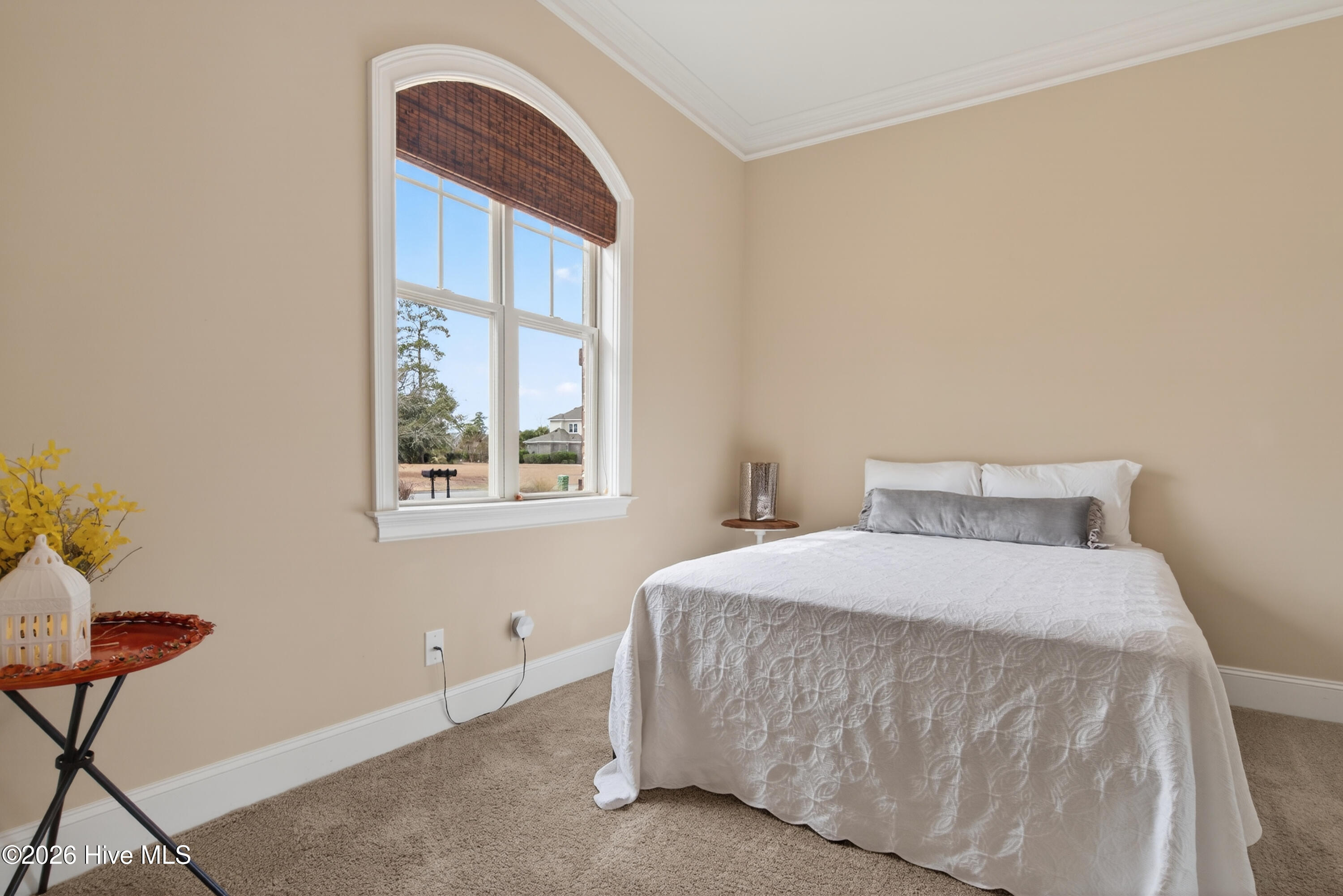 100555783 | Photo 16