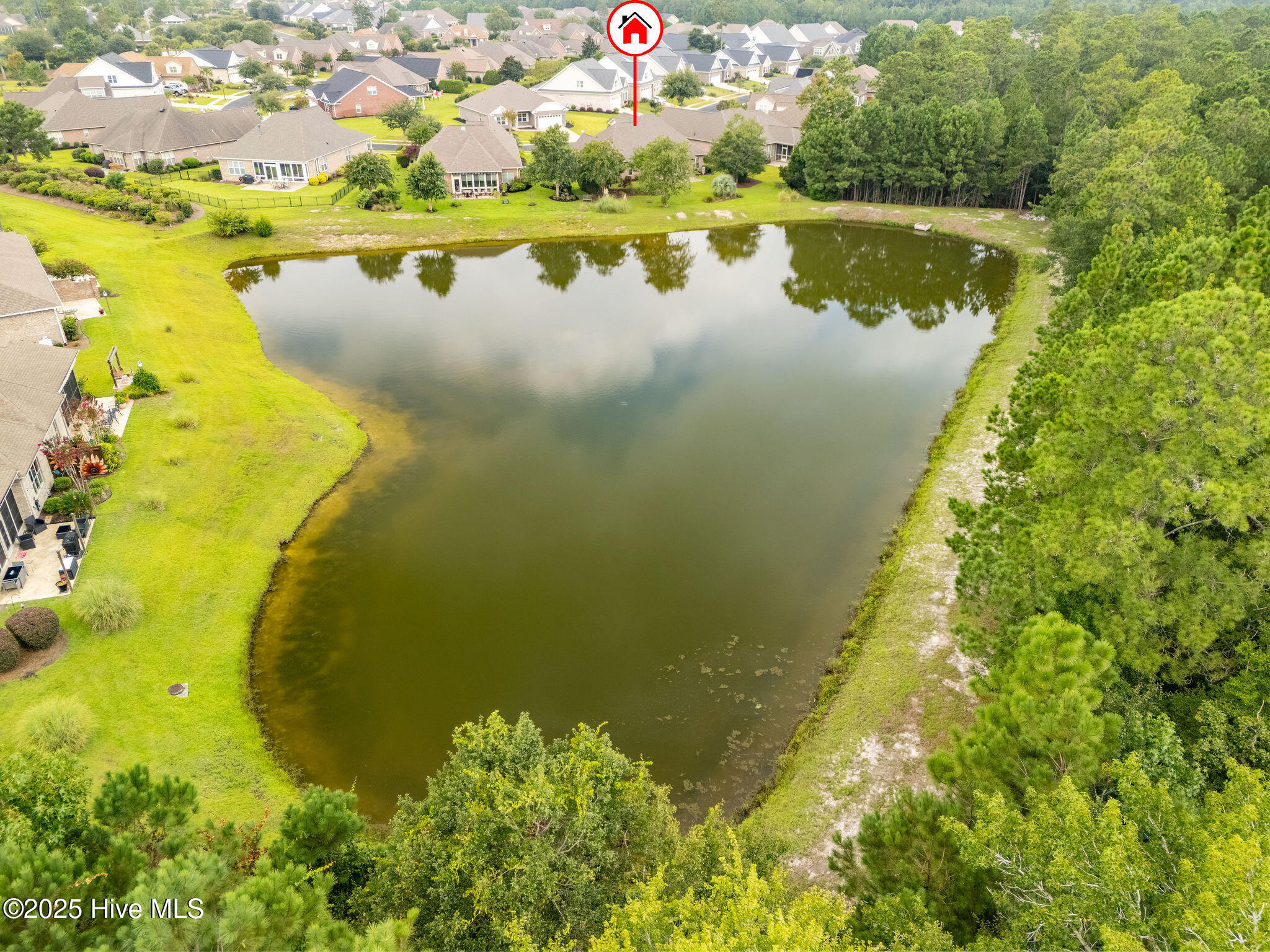 100524928 | Photo 45