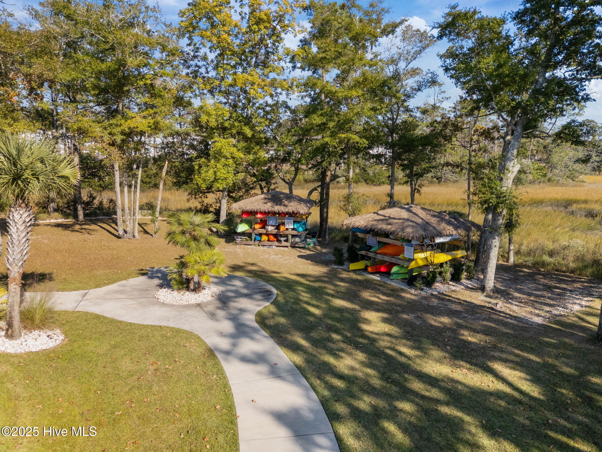 100540381 | Photo 60