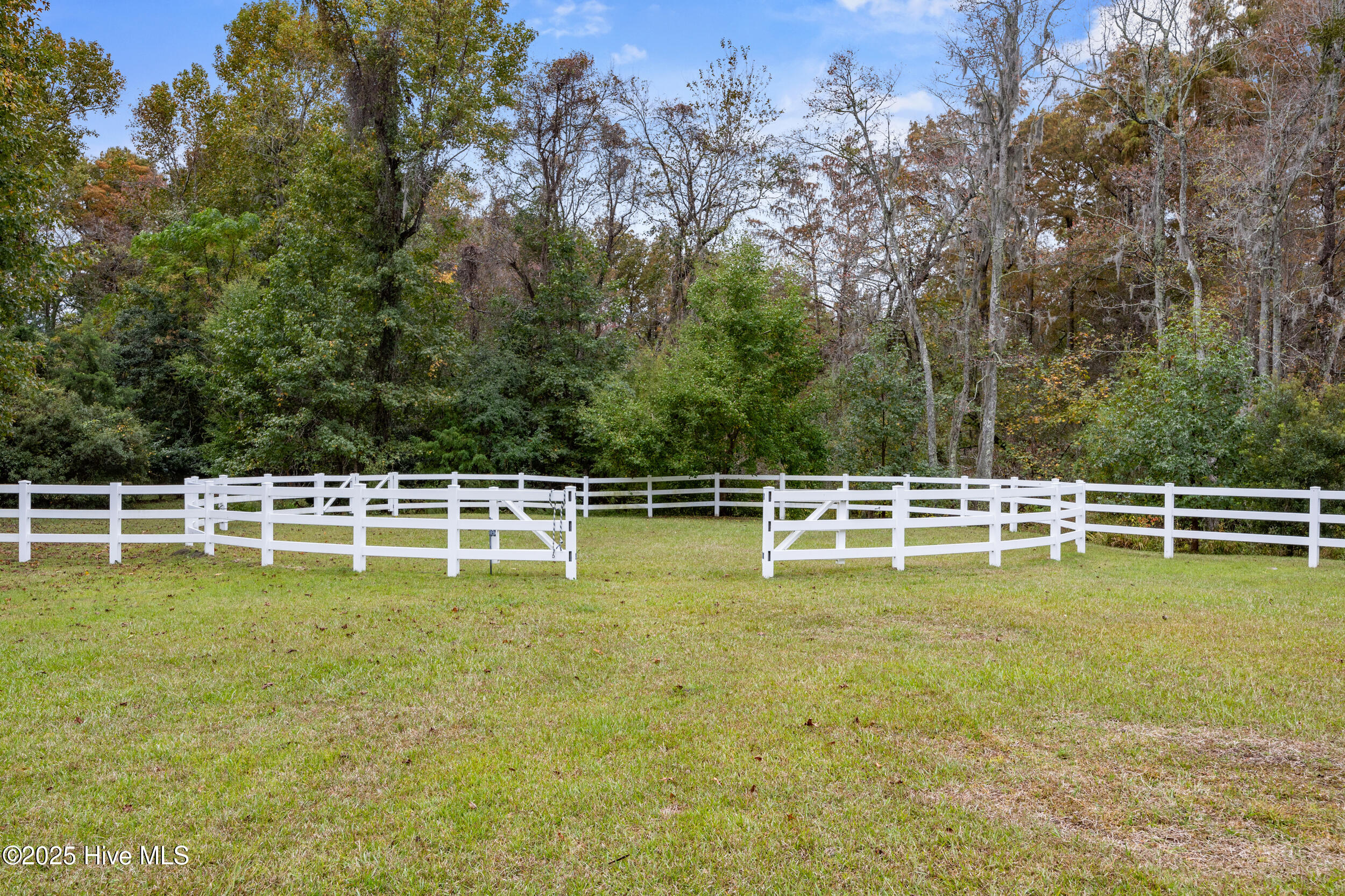 100538720 | Photo 90