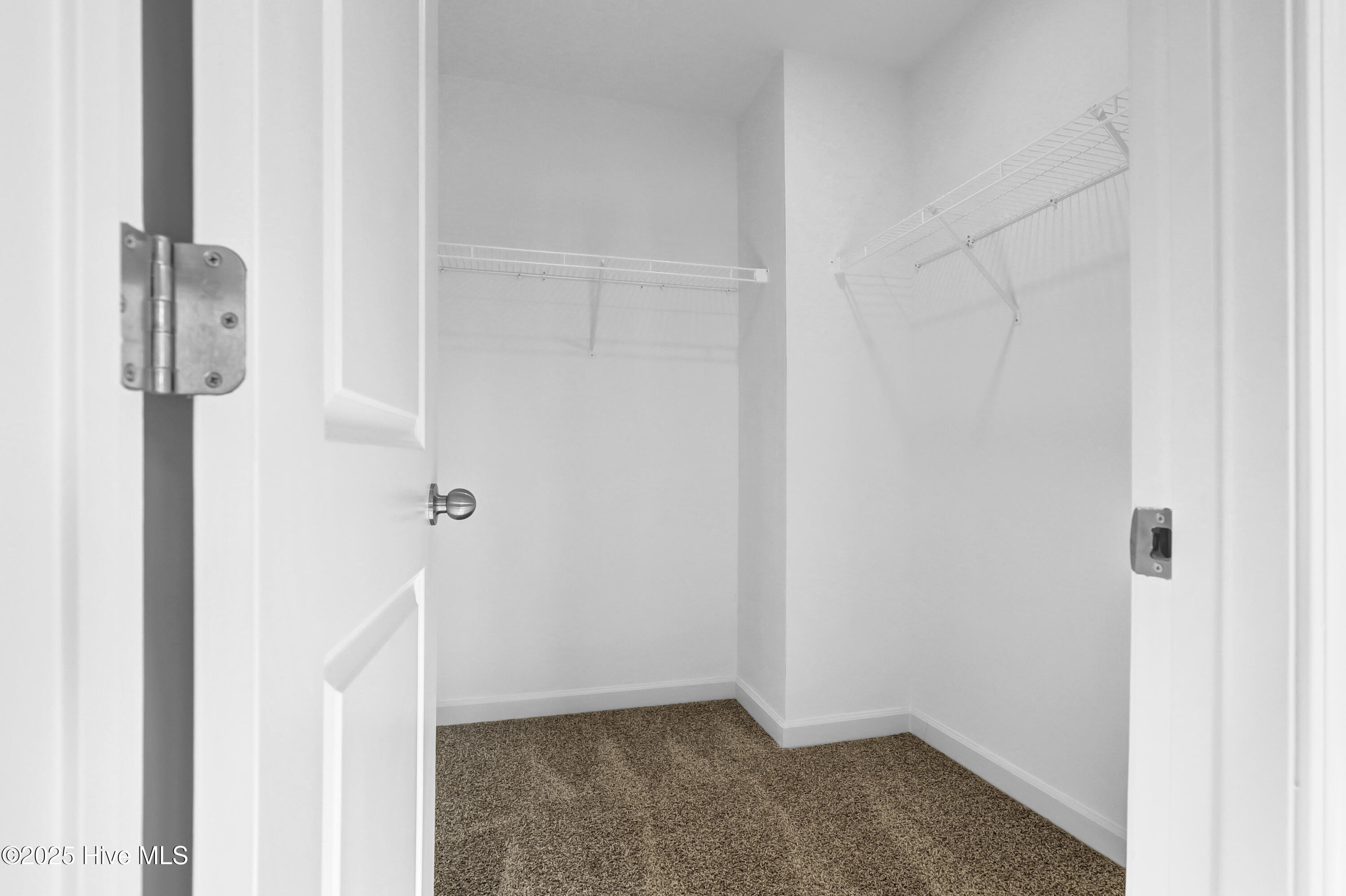 100461654 | Photo 19