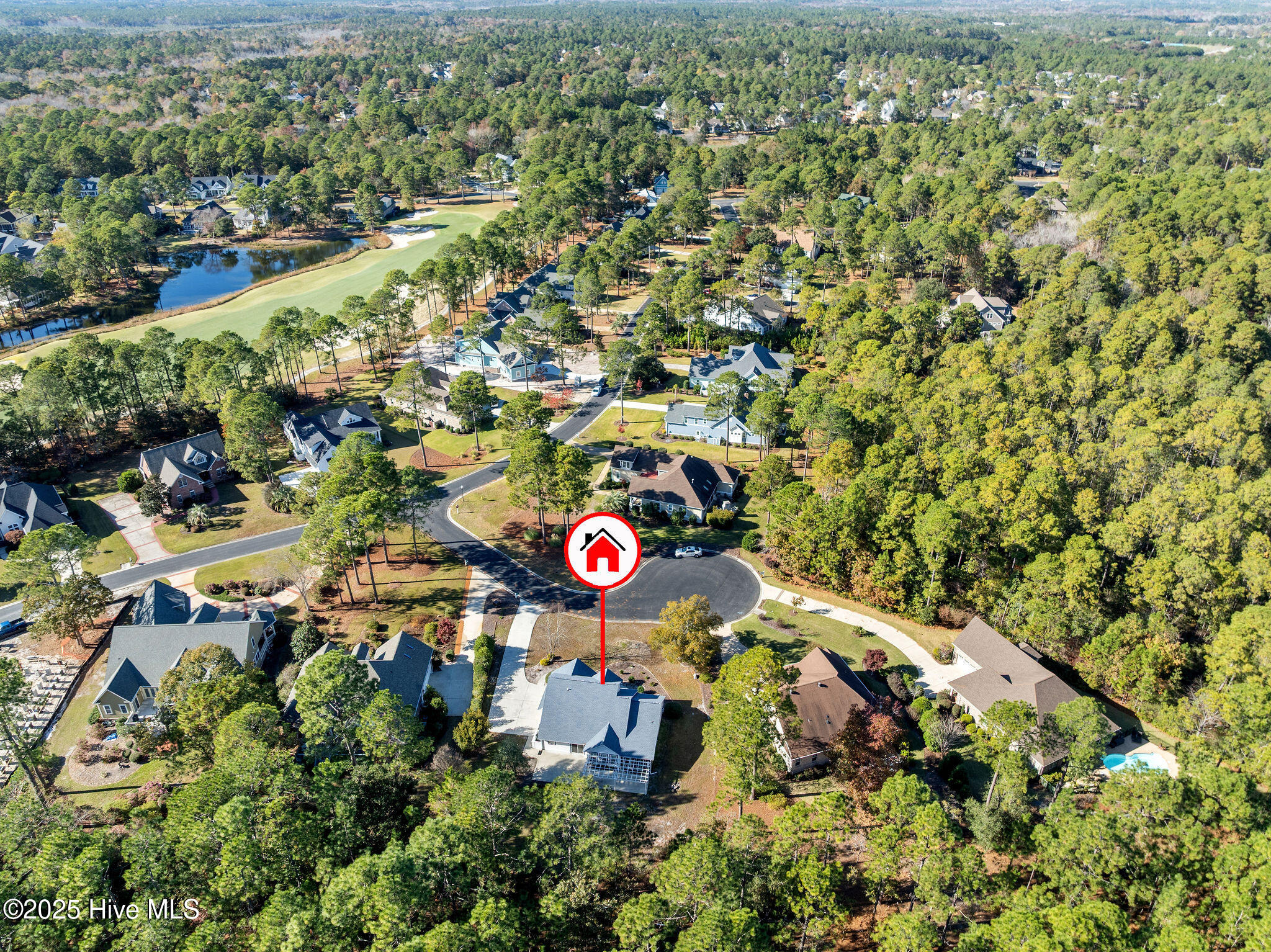 100541401 | Photo 49