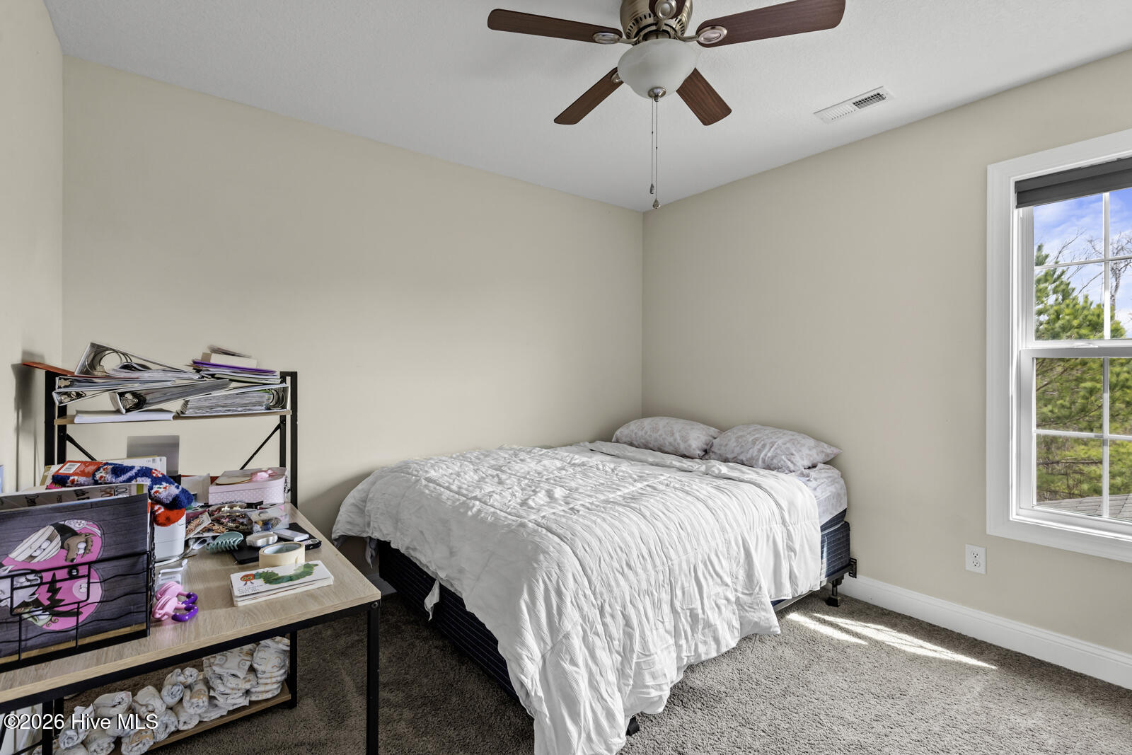 100558564 | Photo 13