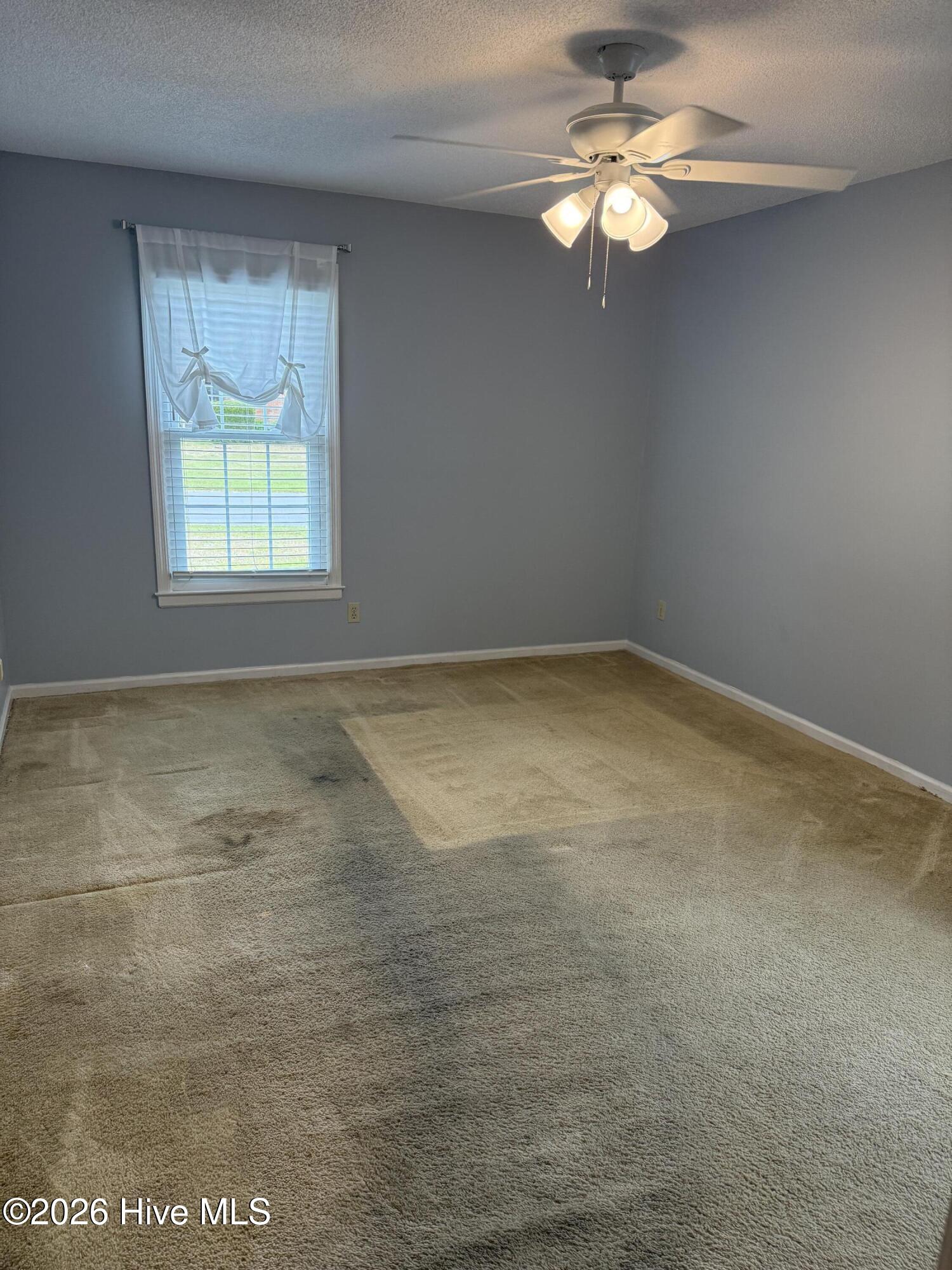 100570594 | Photo 23