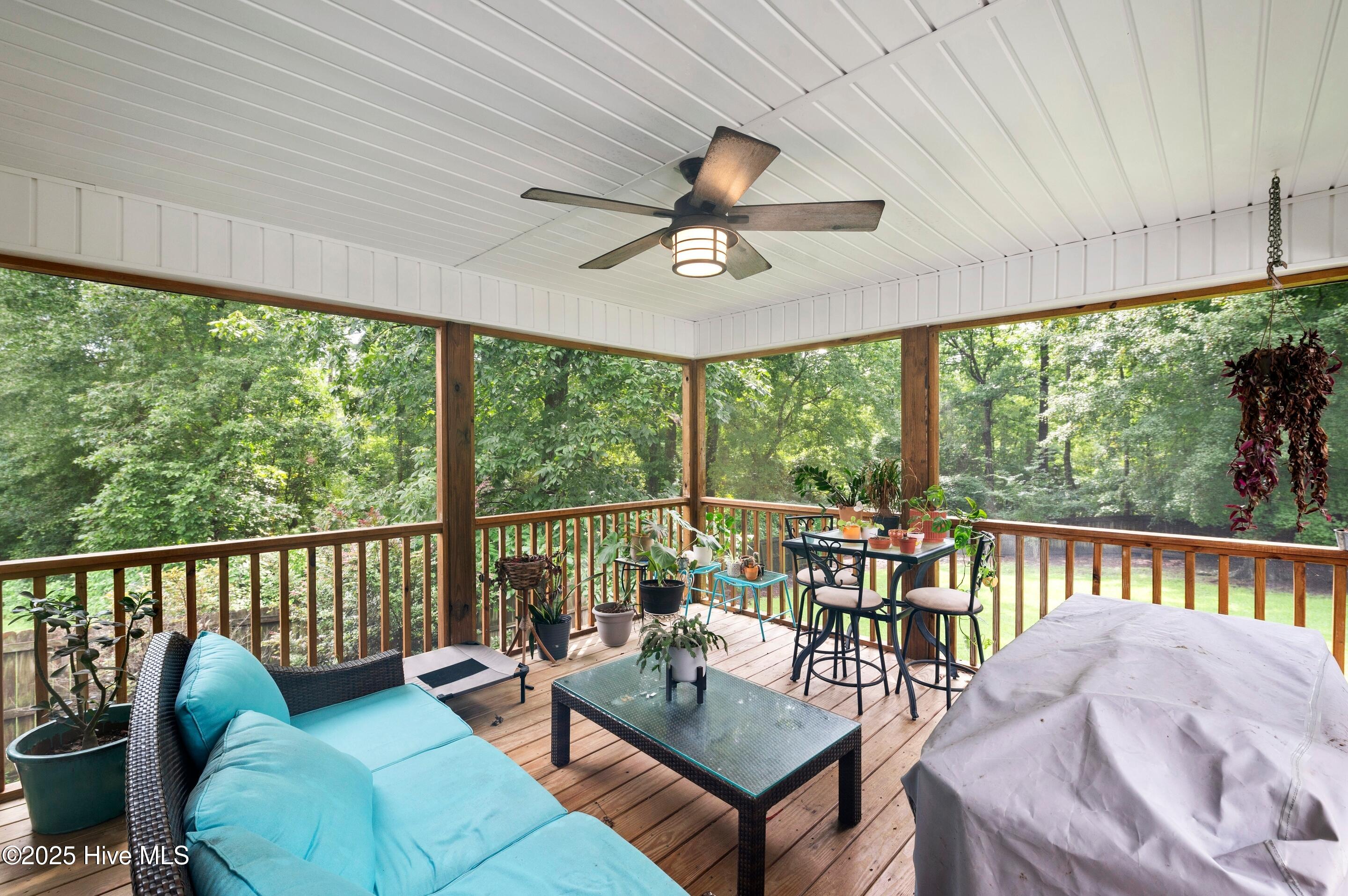 100523069 | Photo 40