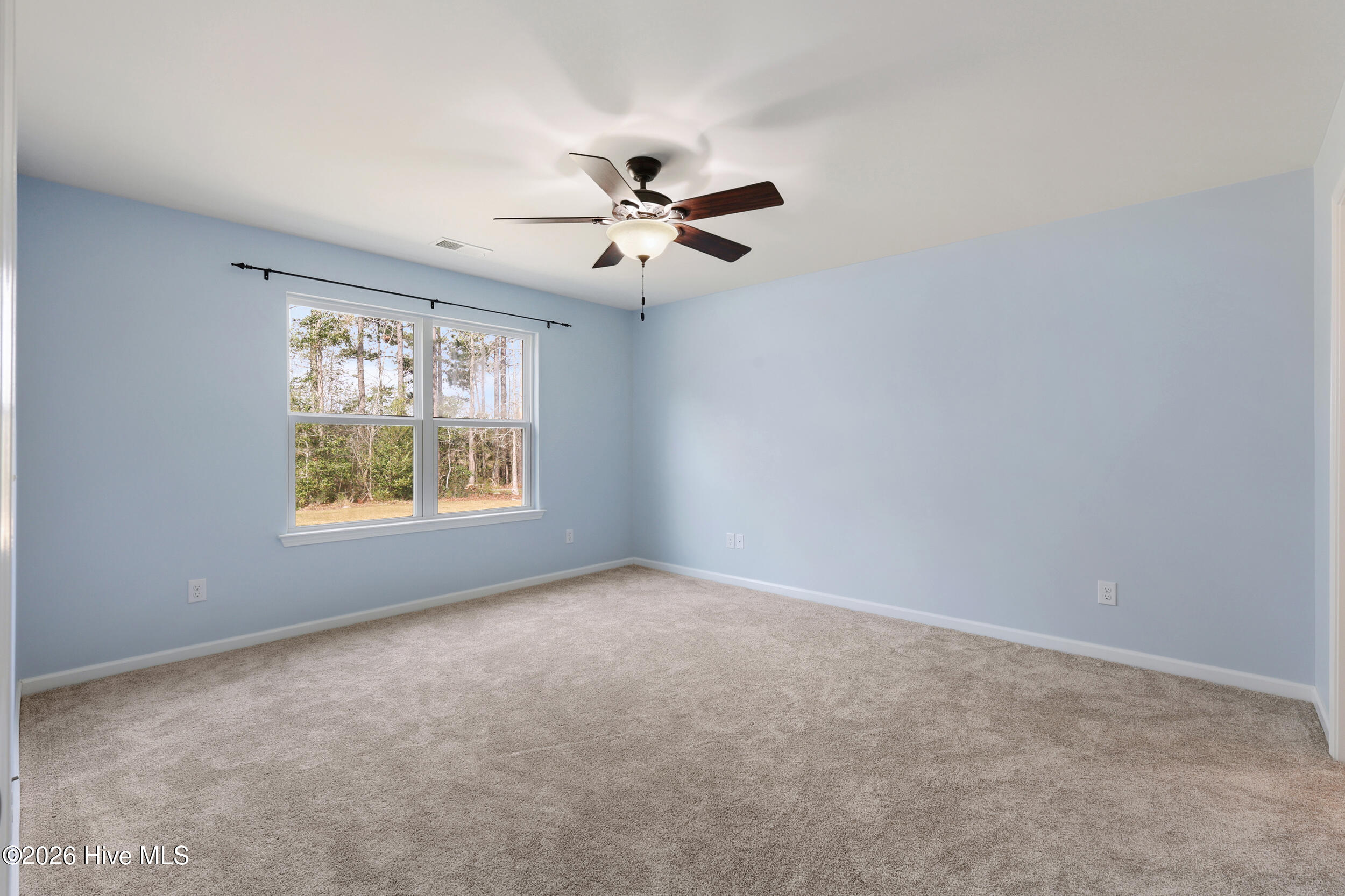 100563089 | Photo 15