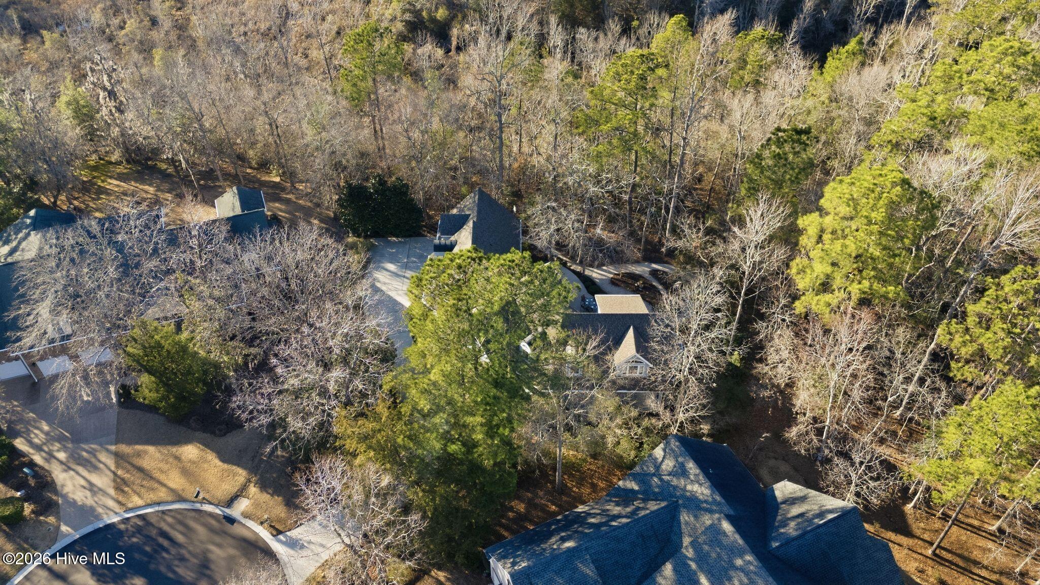 100555834 | Photo 113