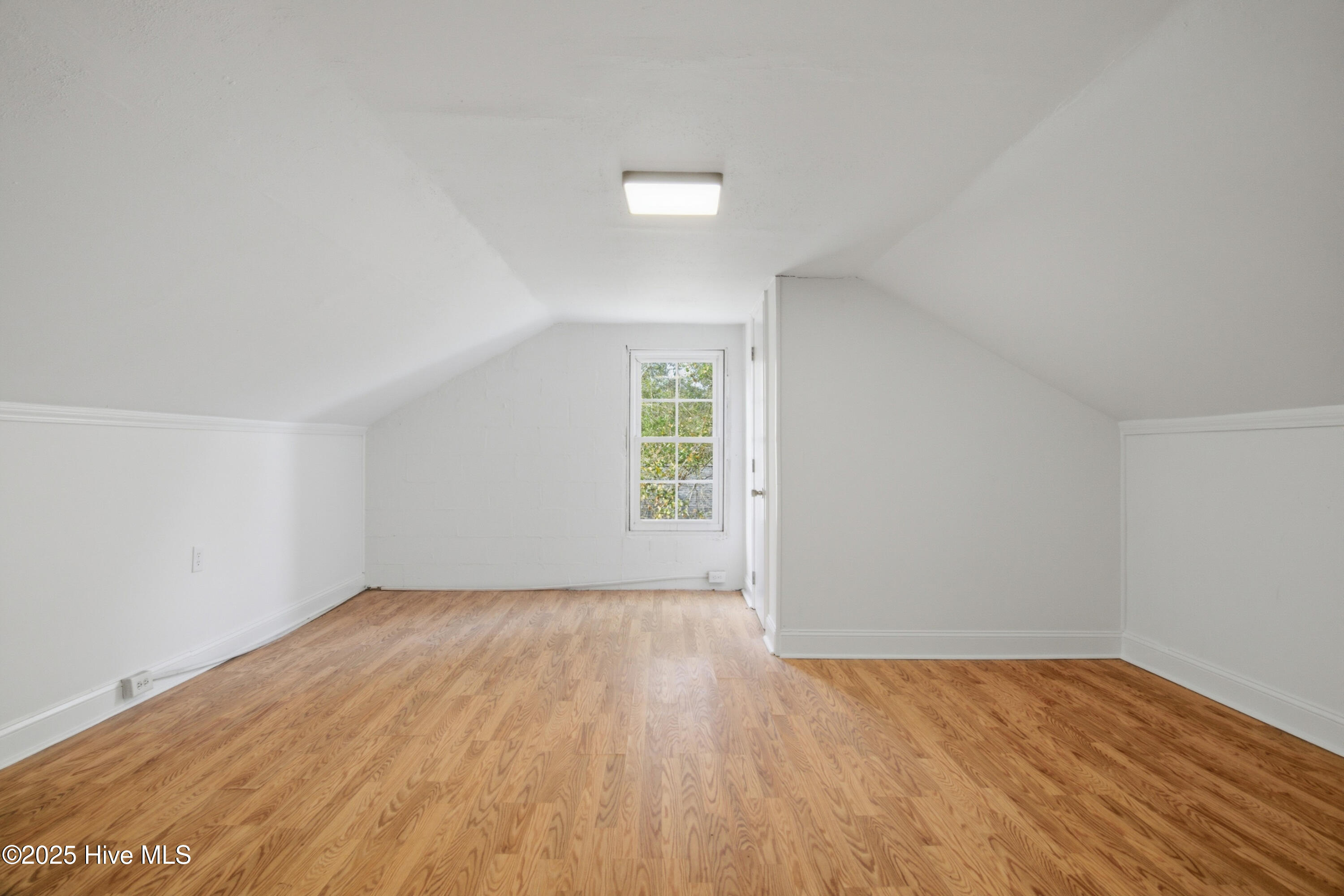 100546827 | Photo 15