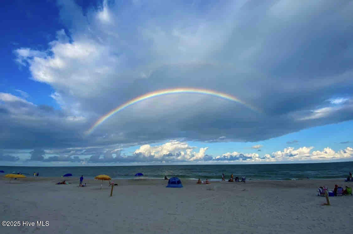 100542449 | Photo 47