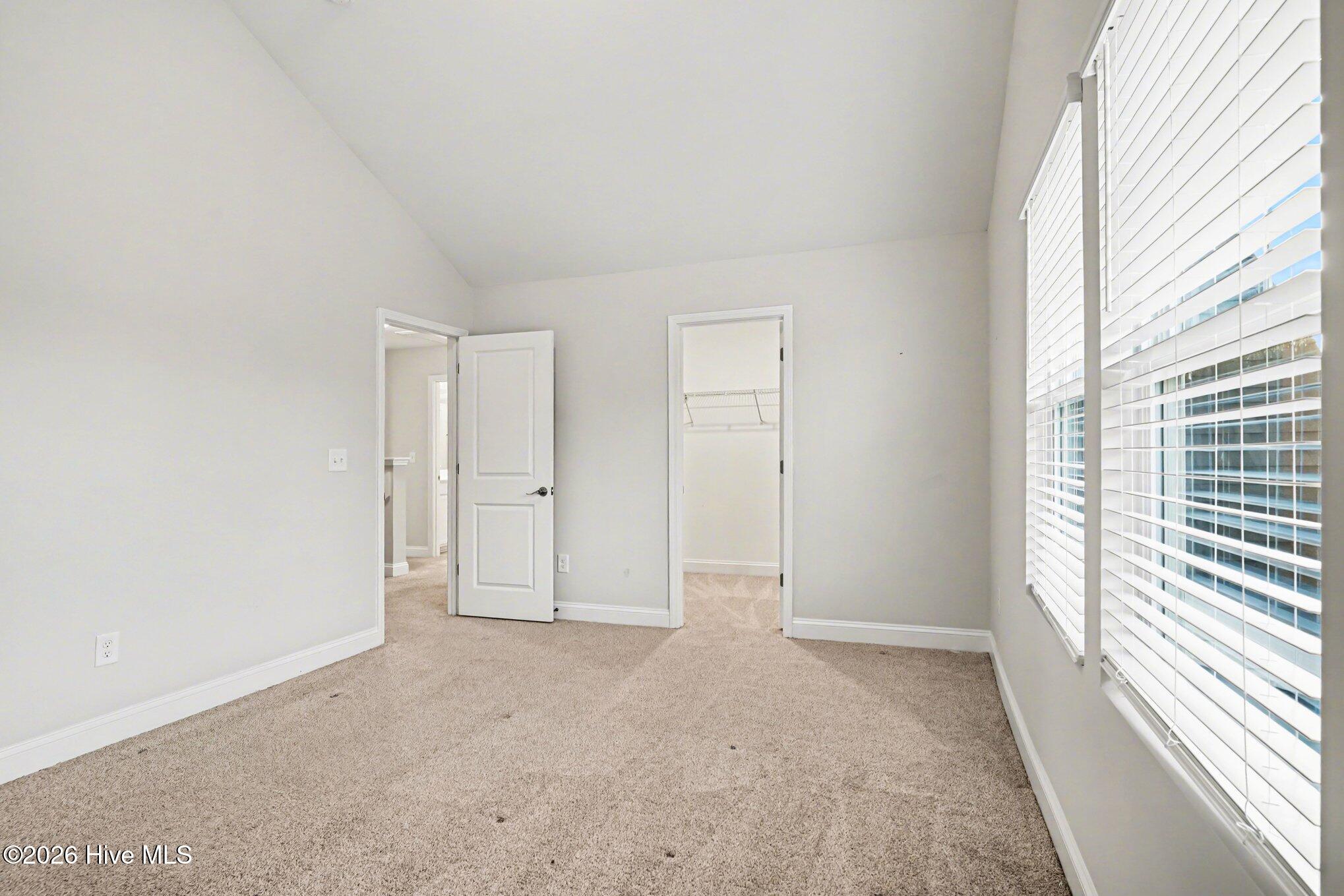 100562344 | Photo 14