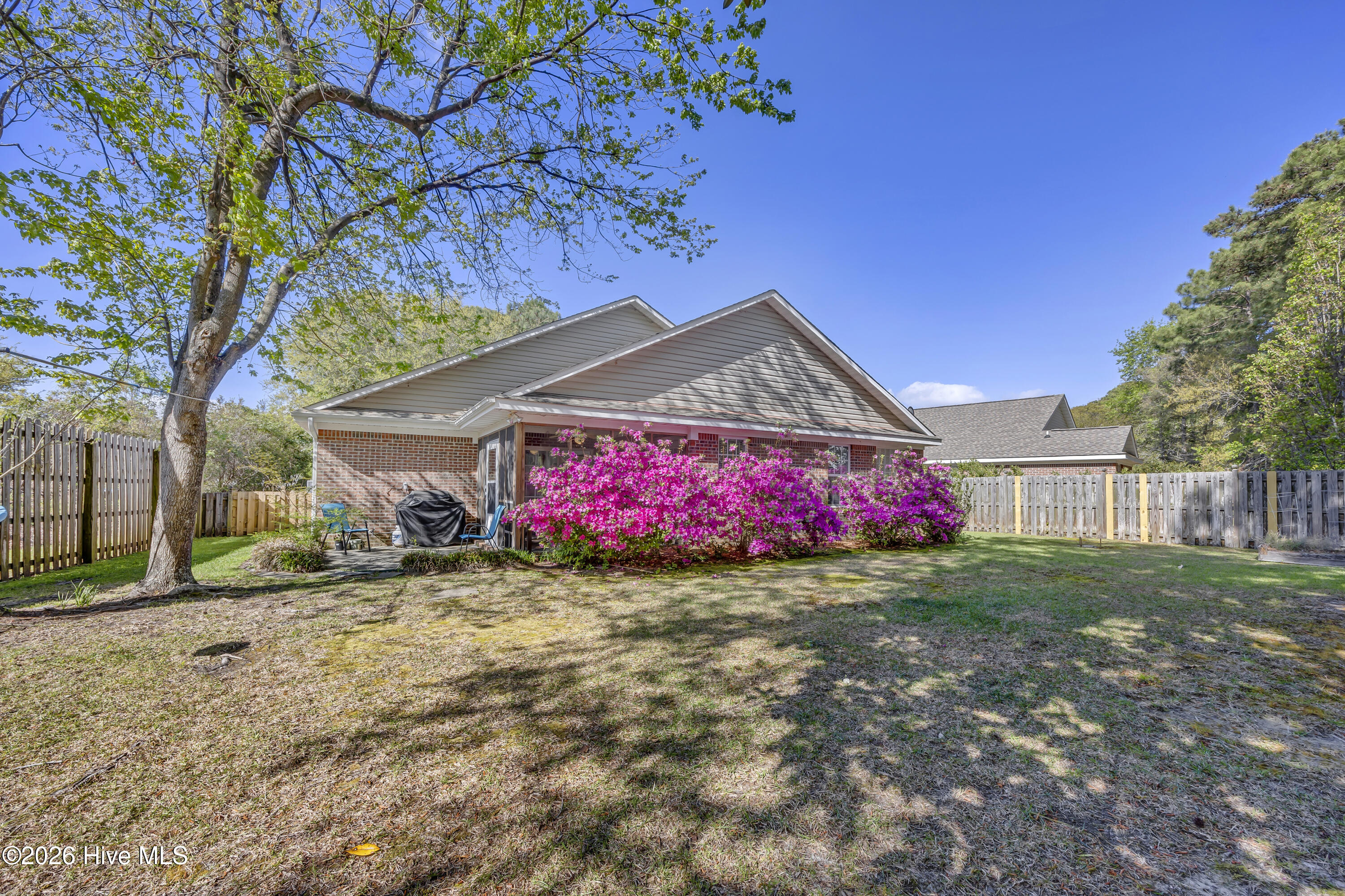 100566281 | Photo 22