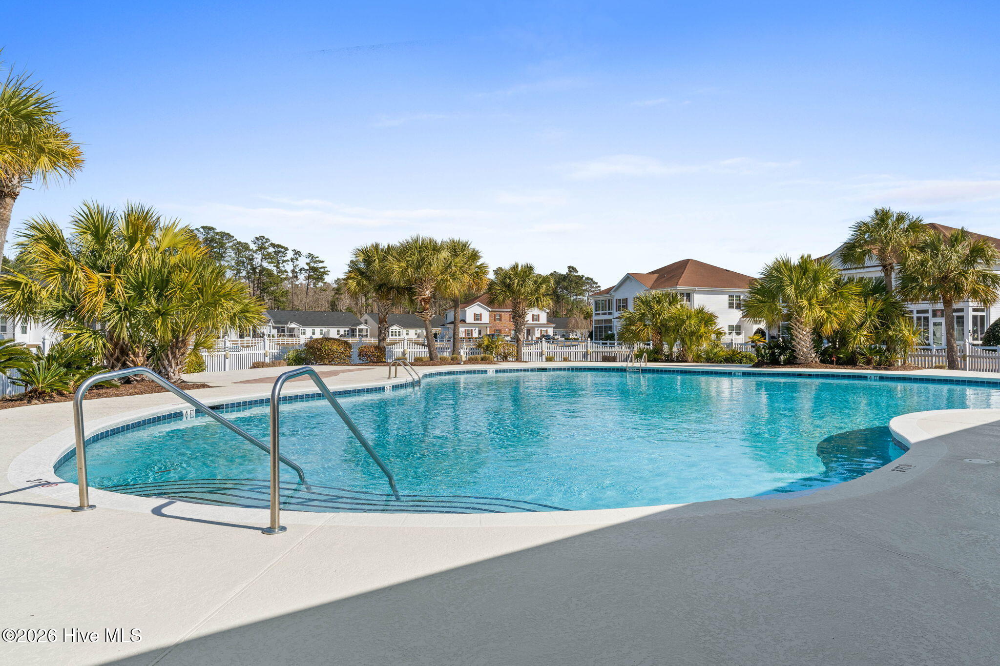 100558044 | Photo 86