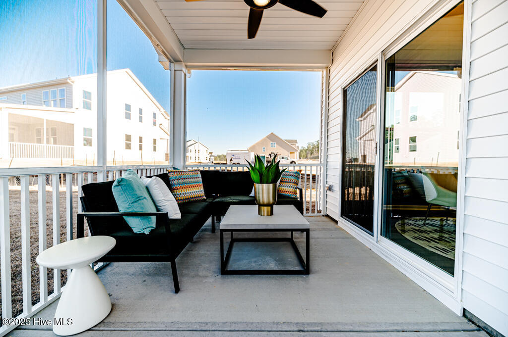 100535606 | Photo 15