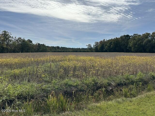 Exterior photo of 721 Joe Piver Road, Chadbourn, NC 28431. MLS: 100596663