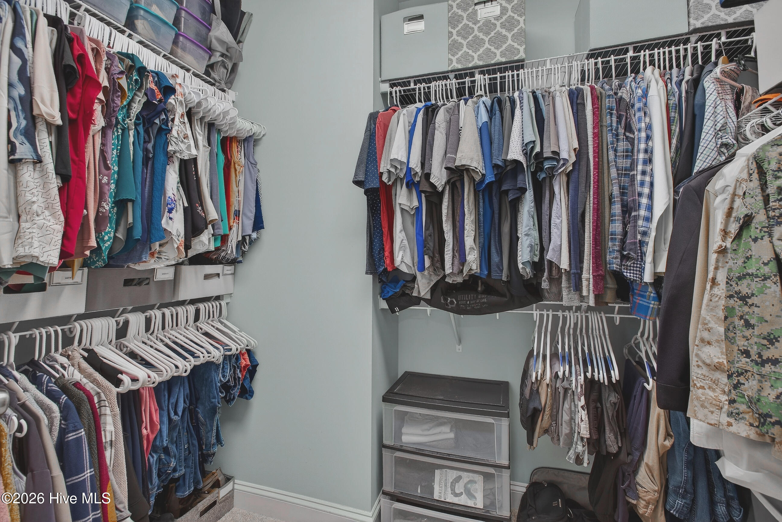 100563505 | Photo 23