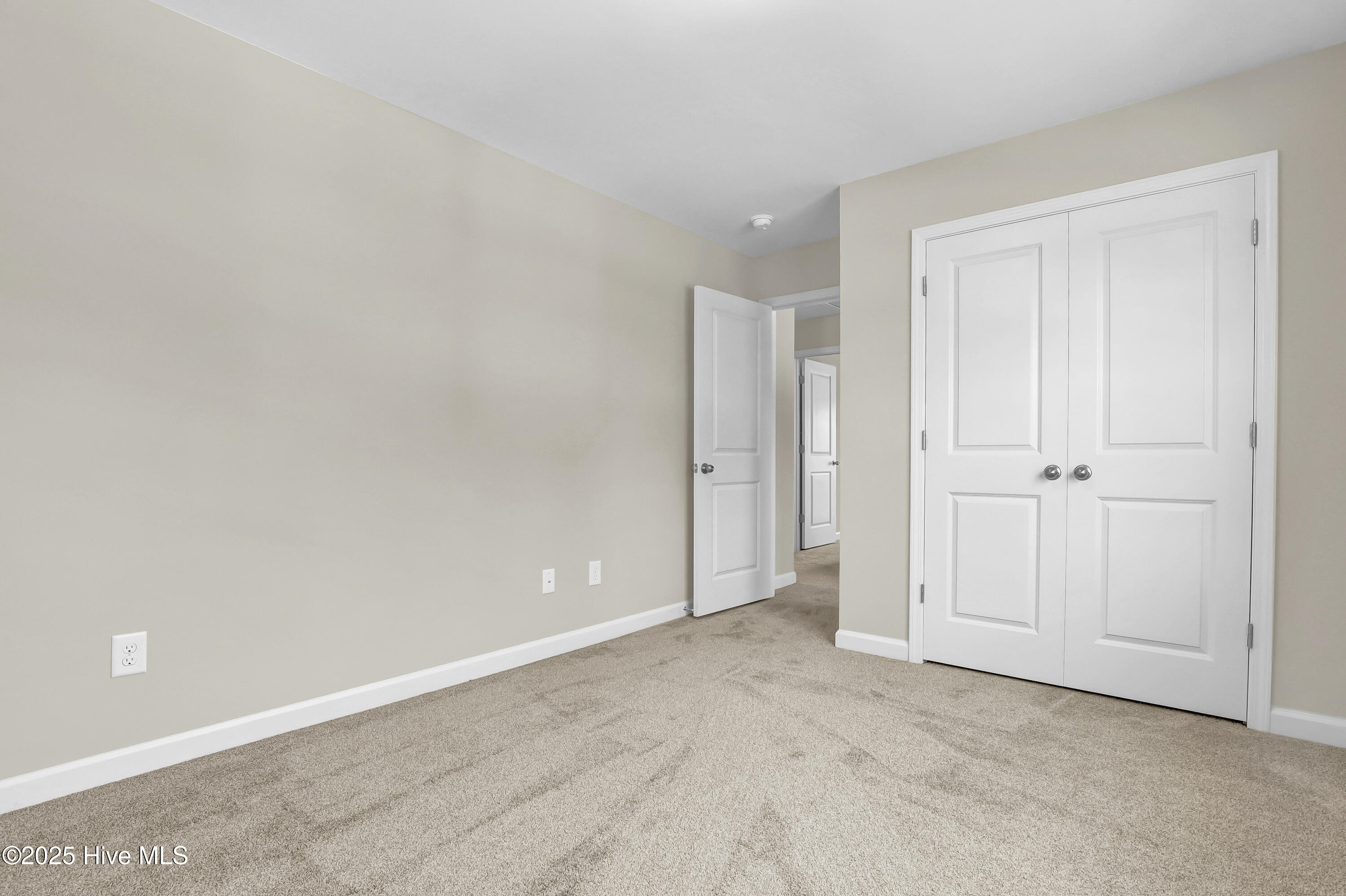 100488784 | Photo 31