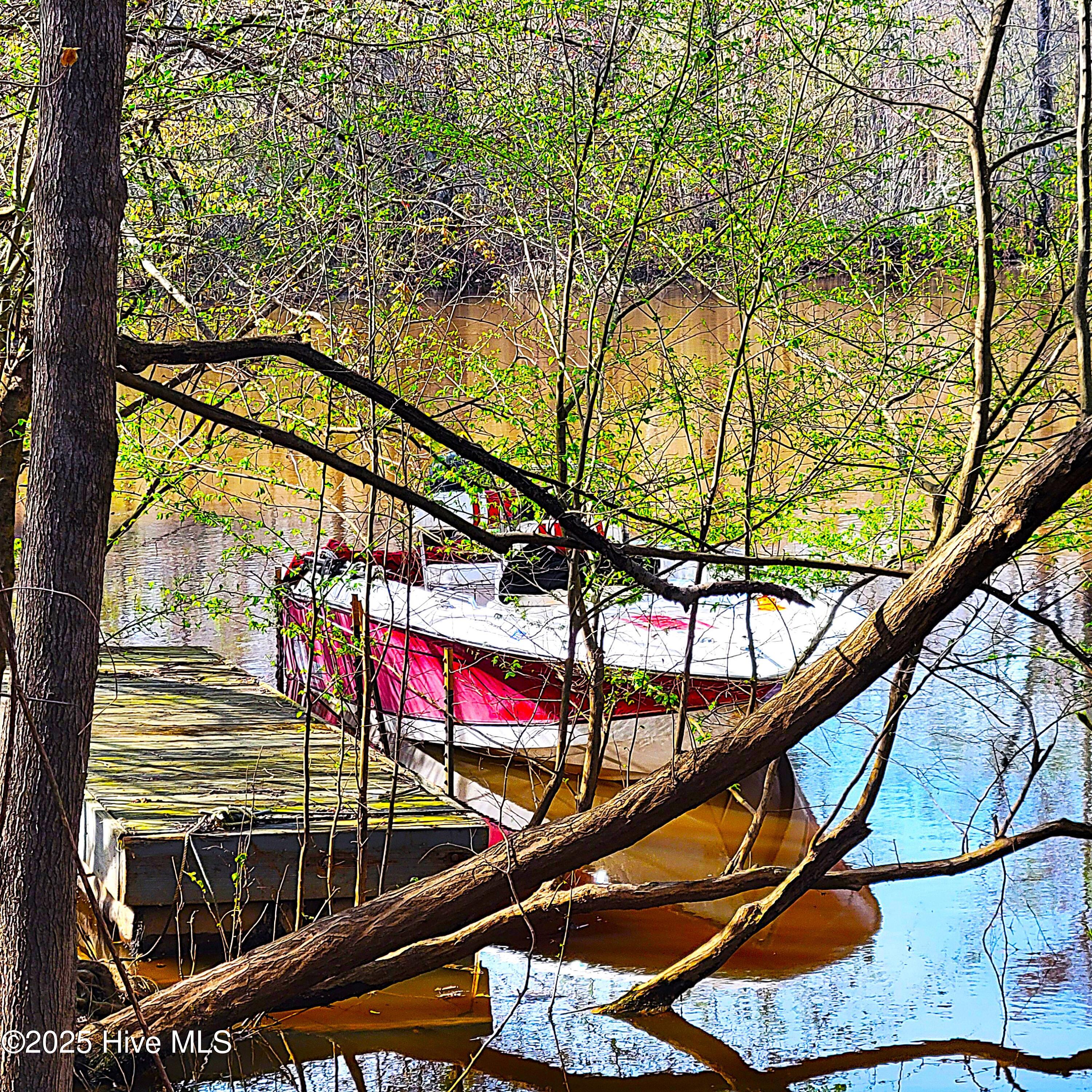 100496184 | Photo 11