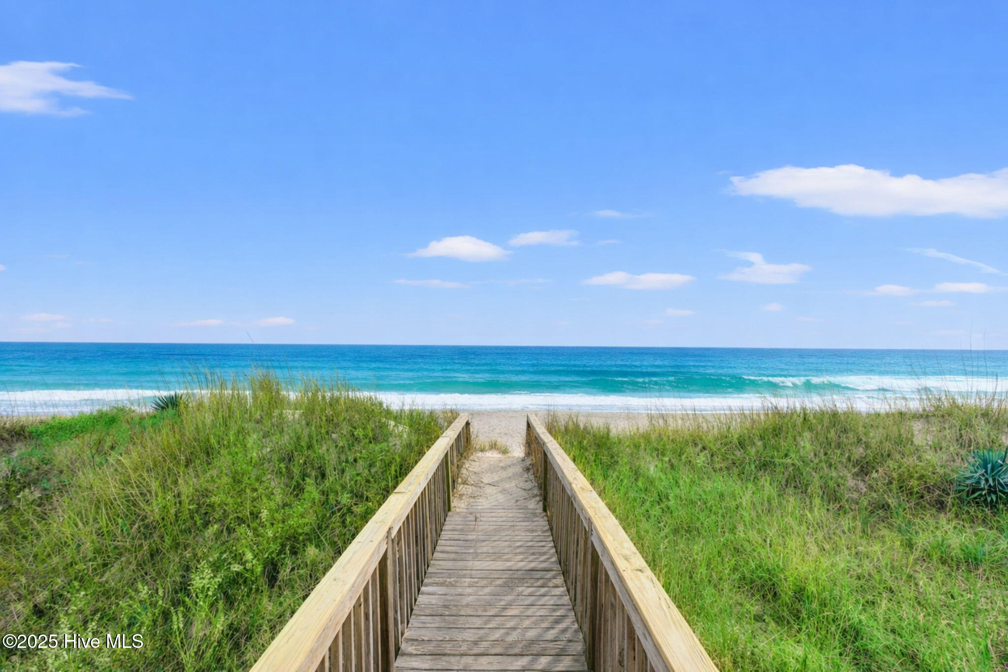 100547029 | Photo 21