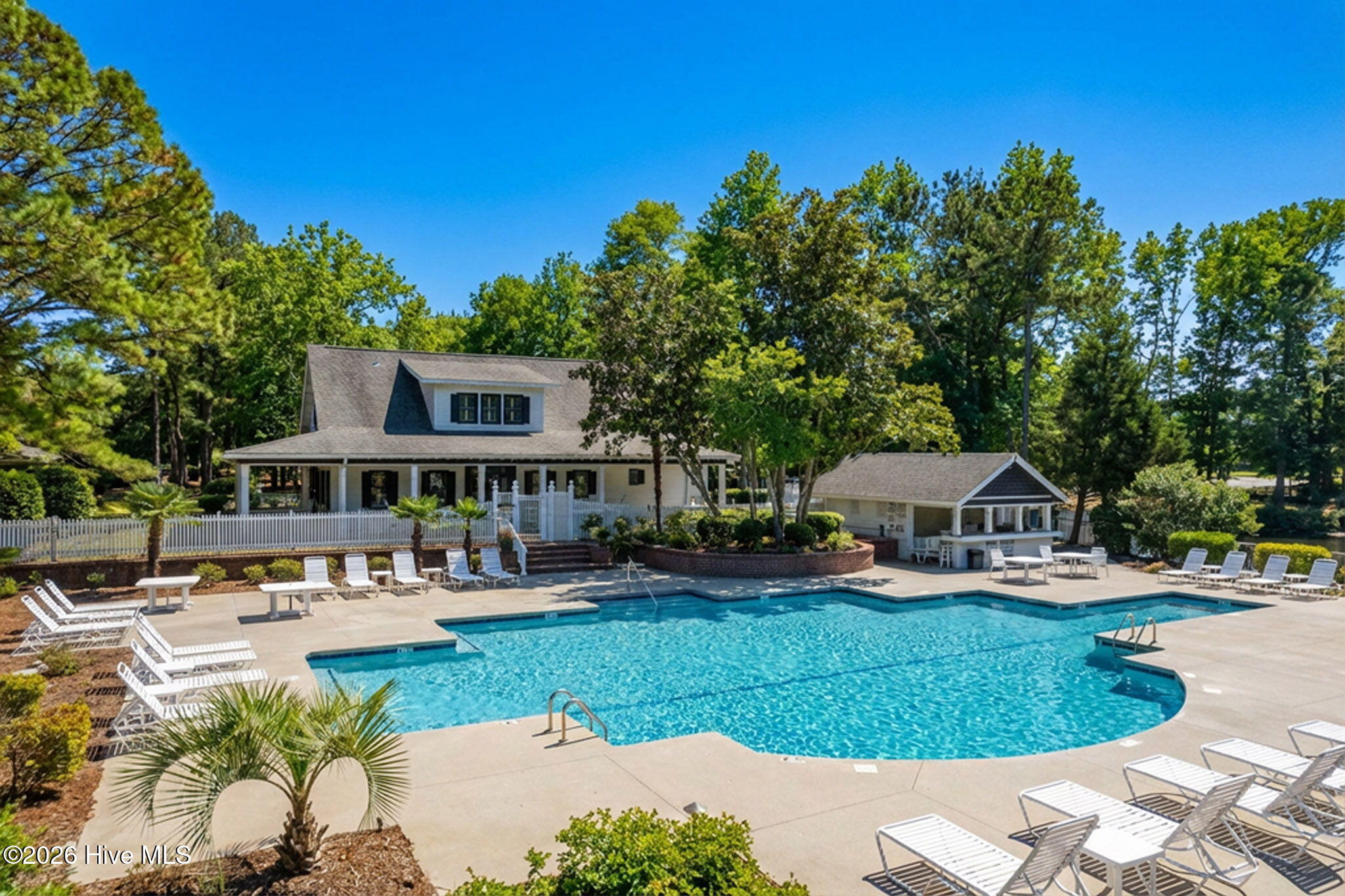 100558704 | Photo 21