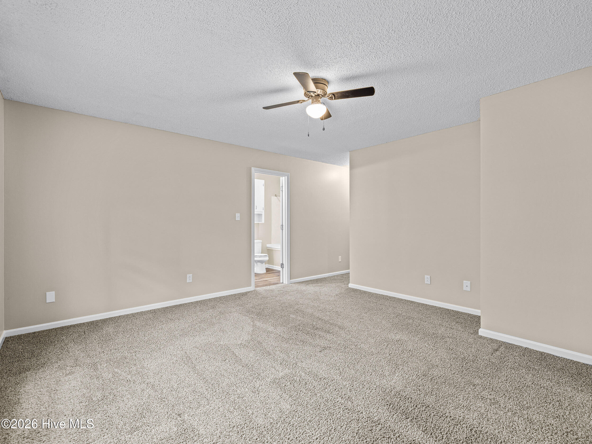 100564987 | Photo 23