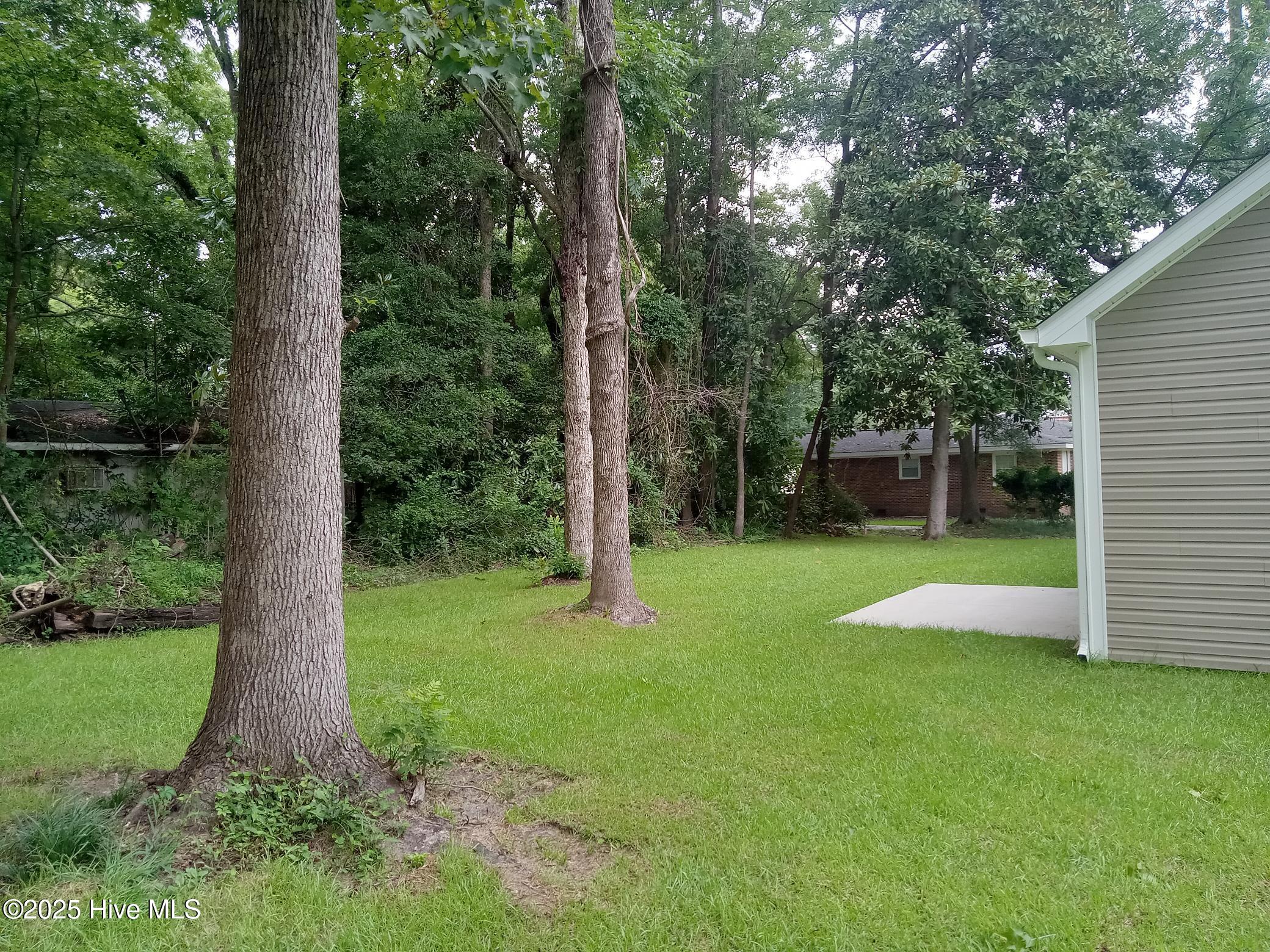 100521963 | Photo 22