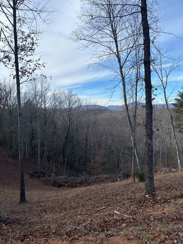 Exterior photo of Lot 1 Thundering Hill, Murphy, NC 28906. MLS: 98520312
