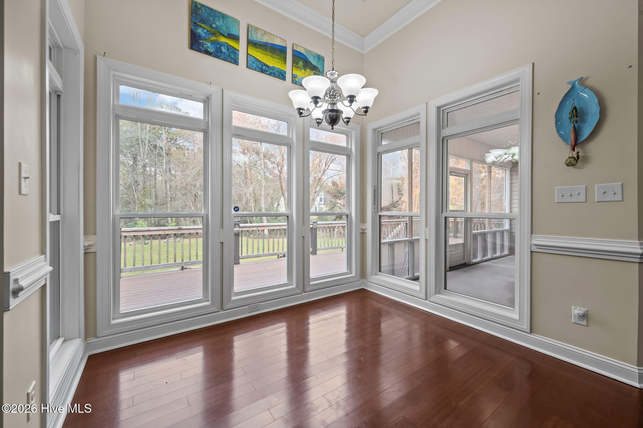 100562533 | Photo 17