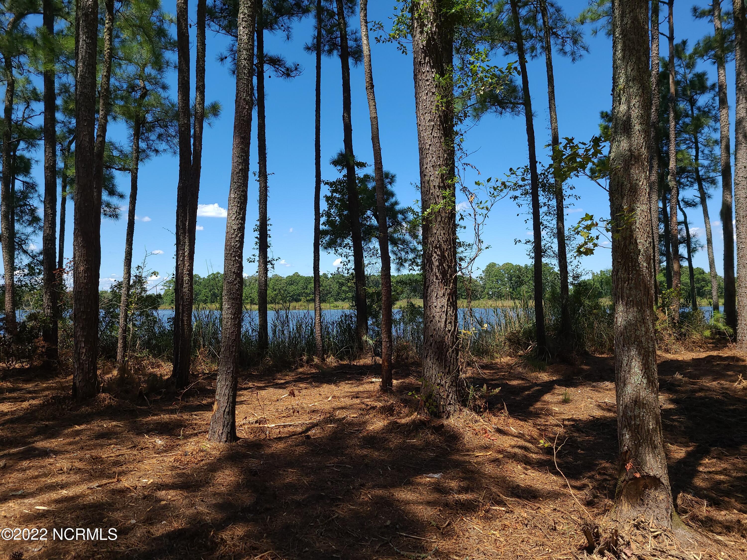 6 Ashton Drive, Bath, NC, 27808