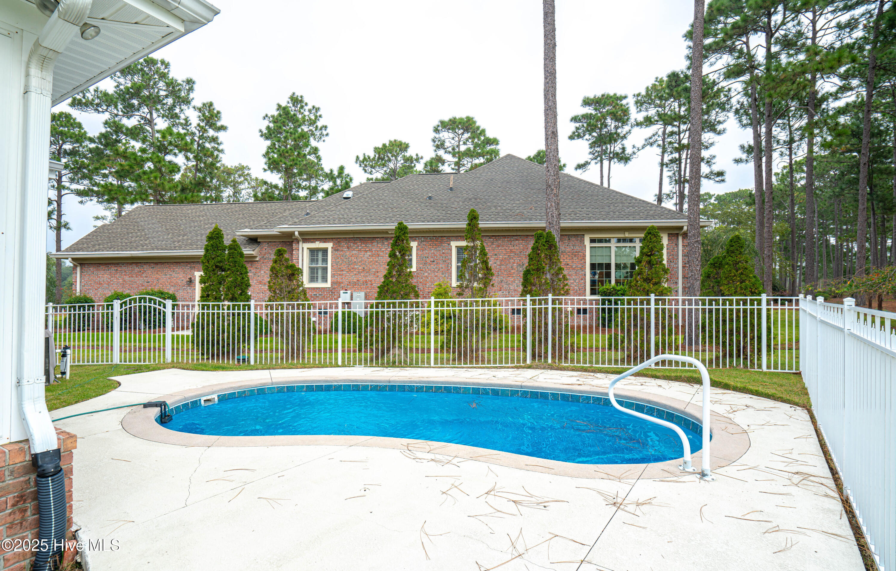 100530810 | Photo 46