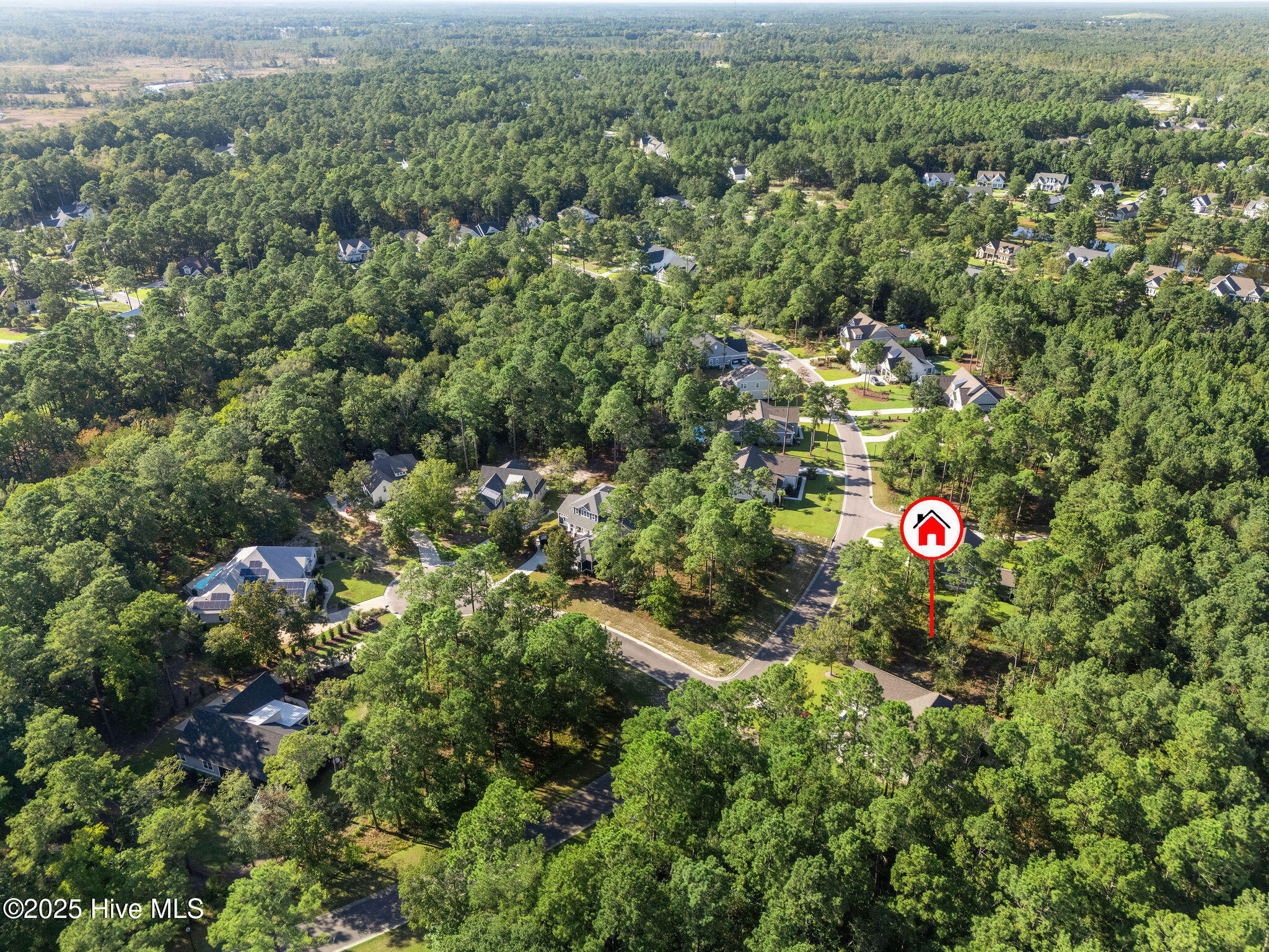 100531958 | Photo 11