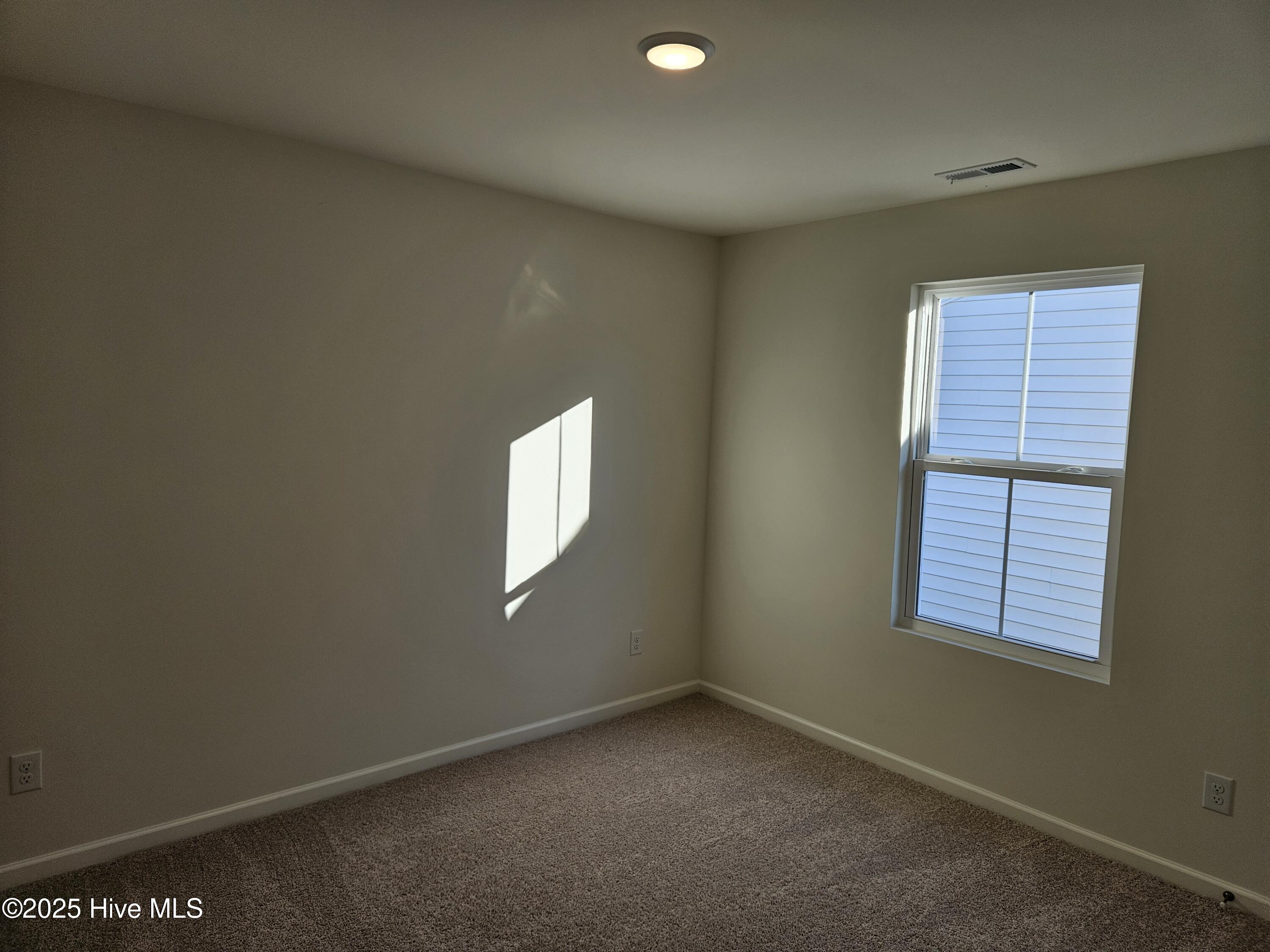 100537305 | Photo 17