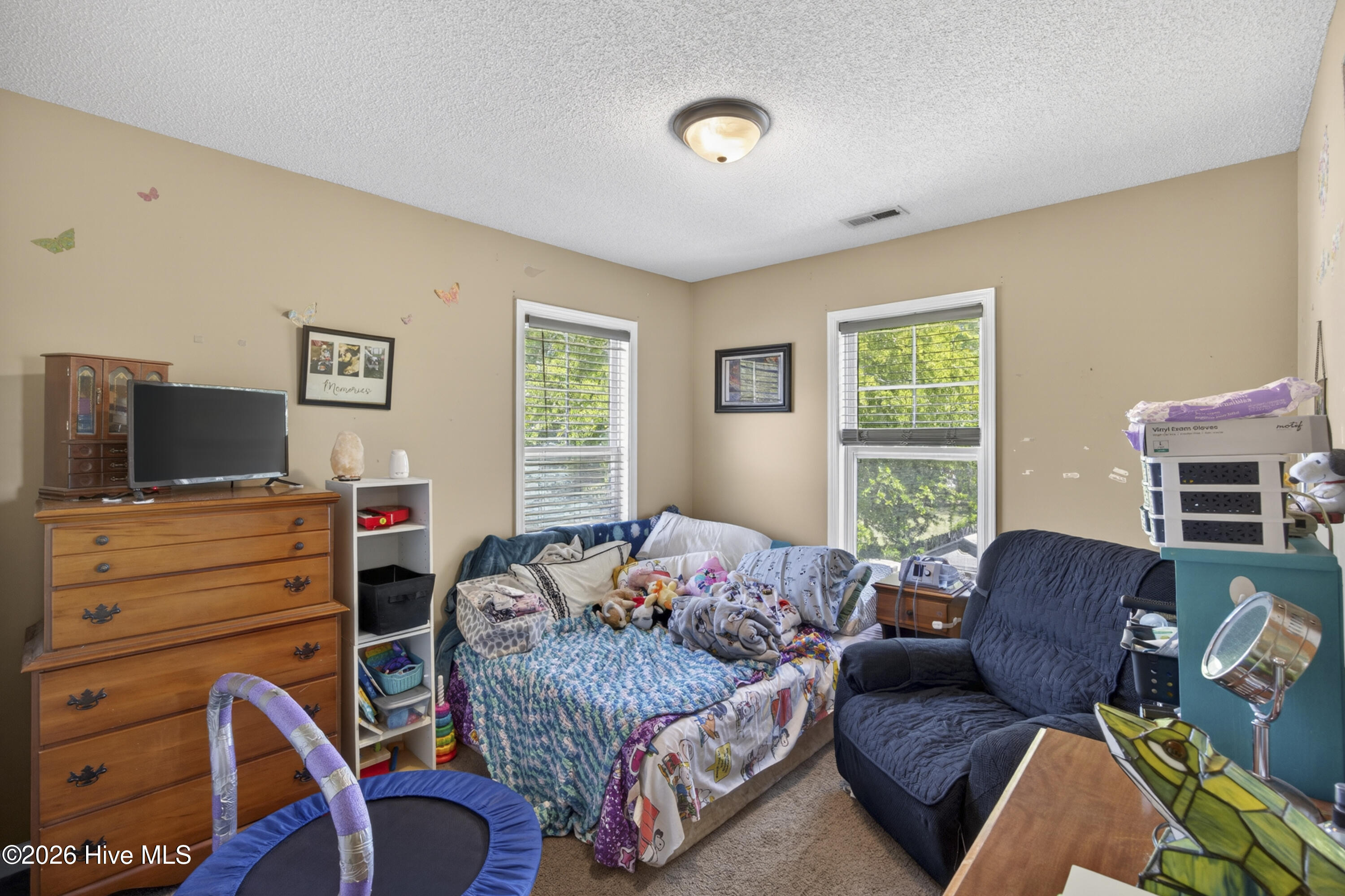 100567441 | Photo 14