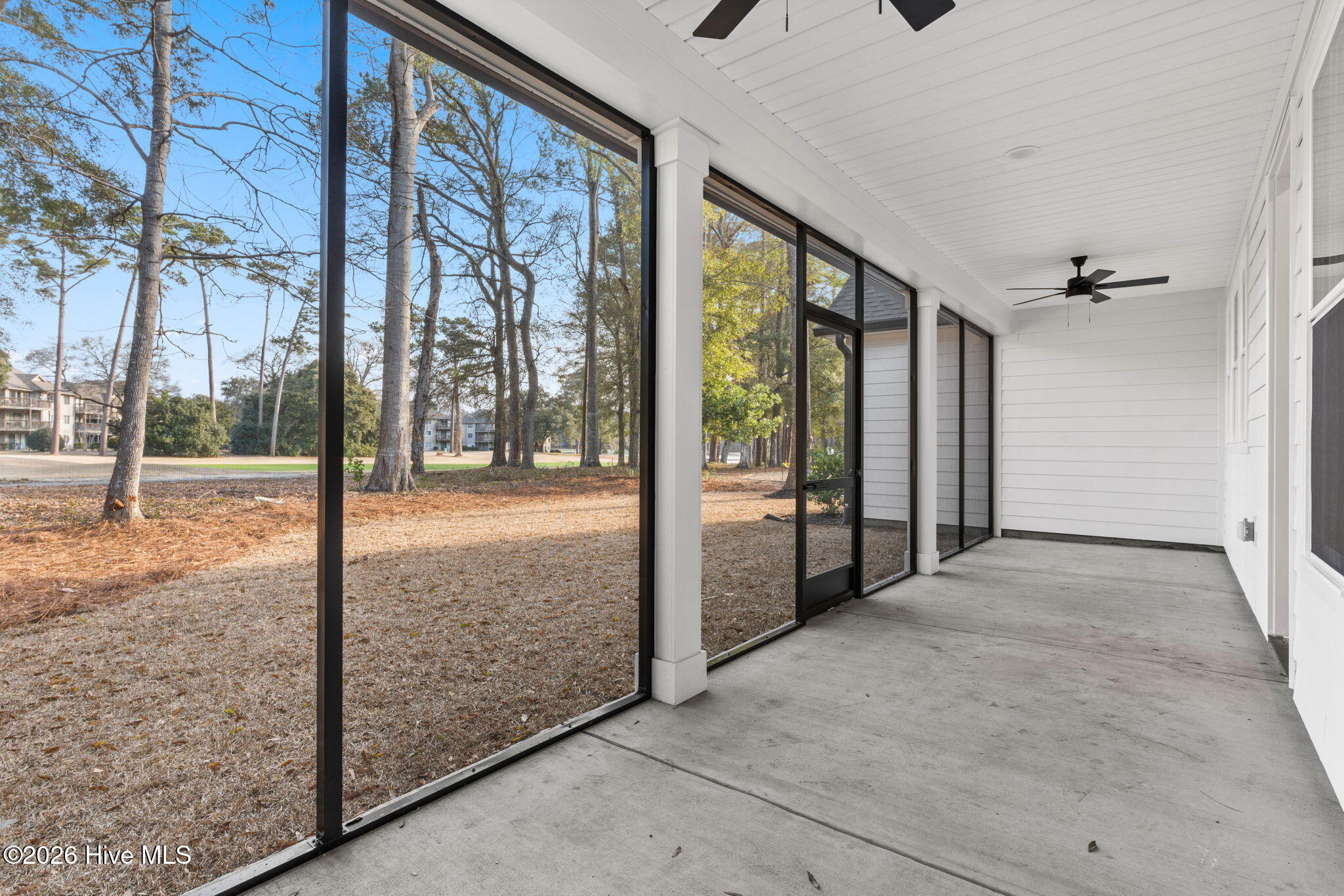 100558111 | Photo 37