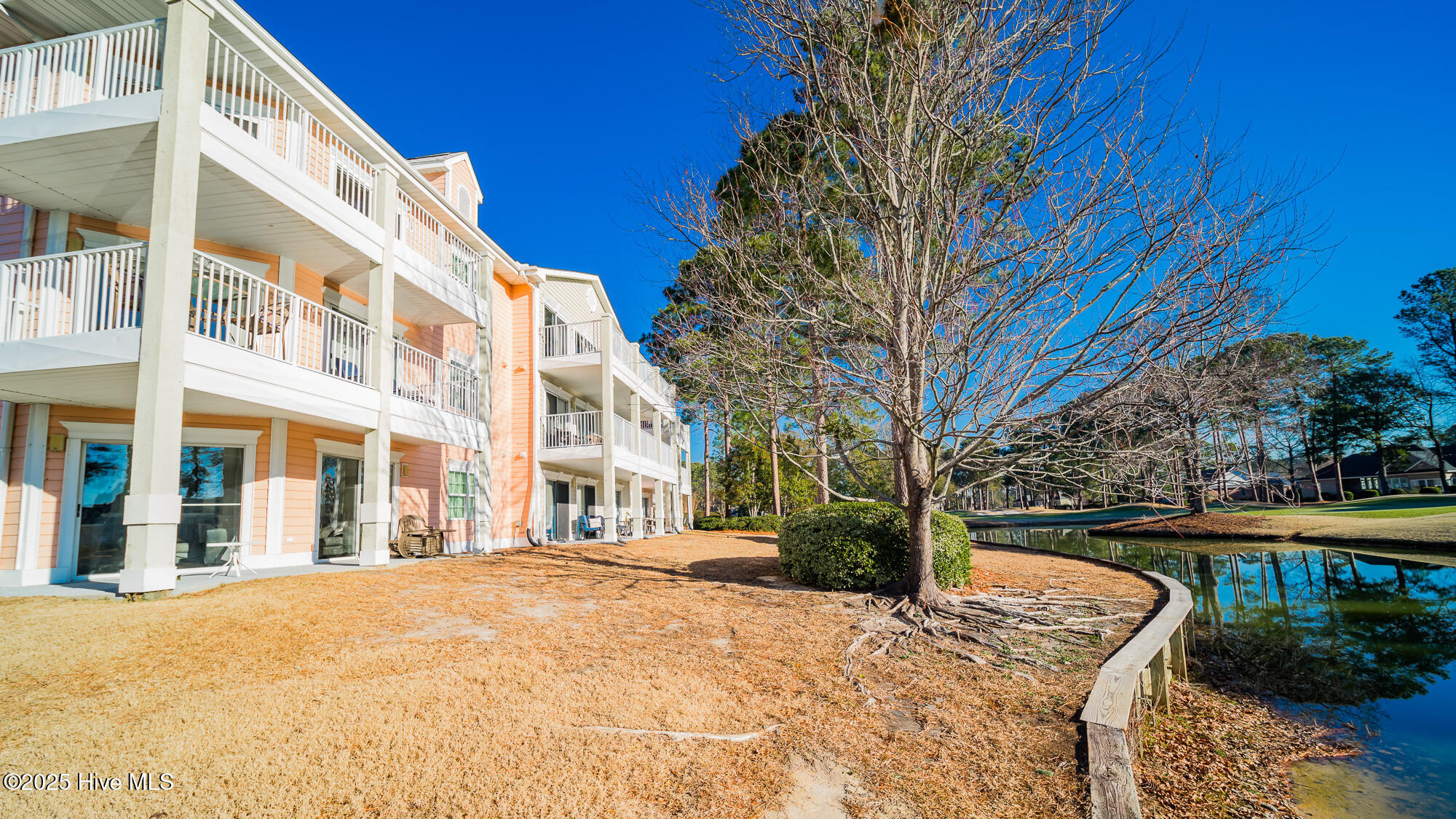 100484252 | Photo 22