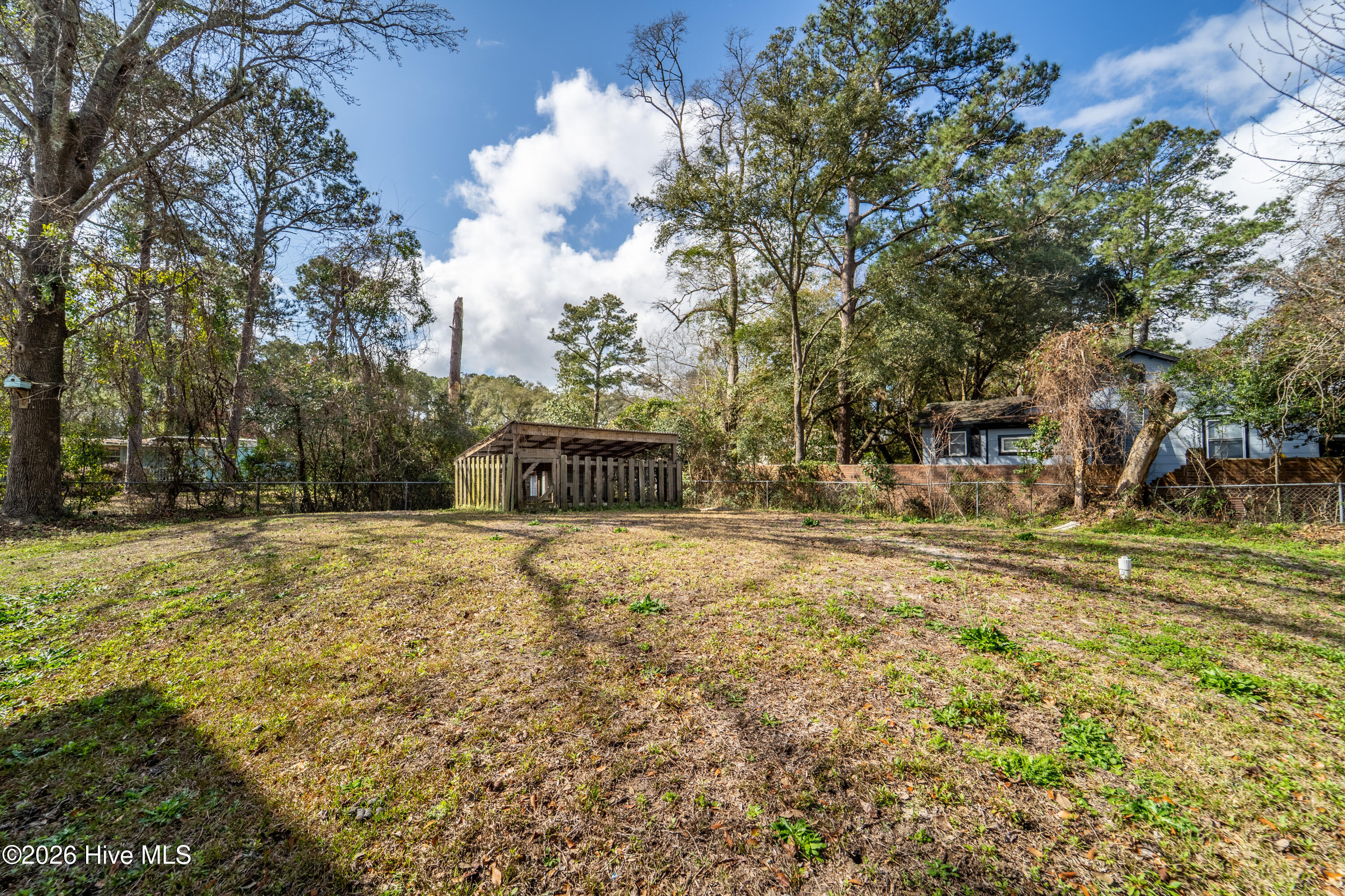 100559226 | Photo 26