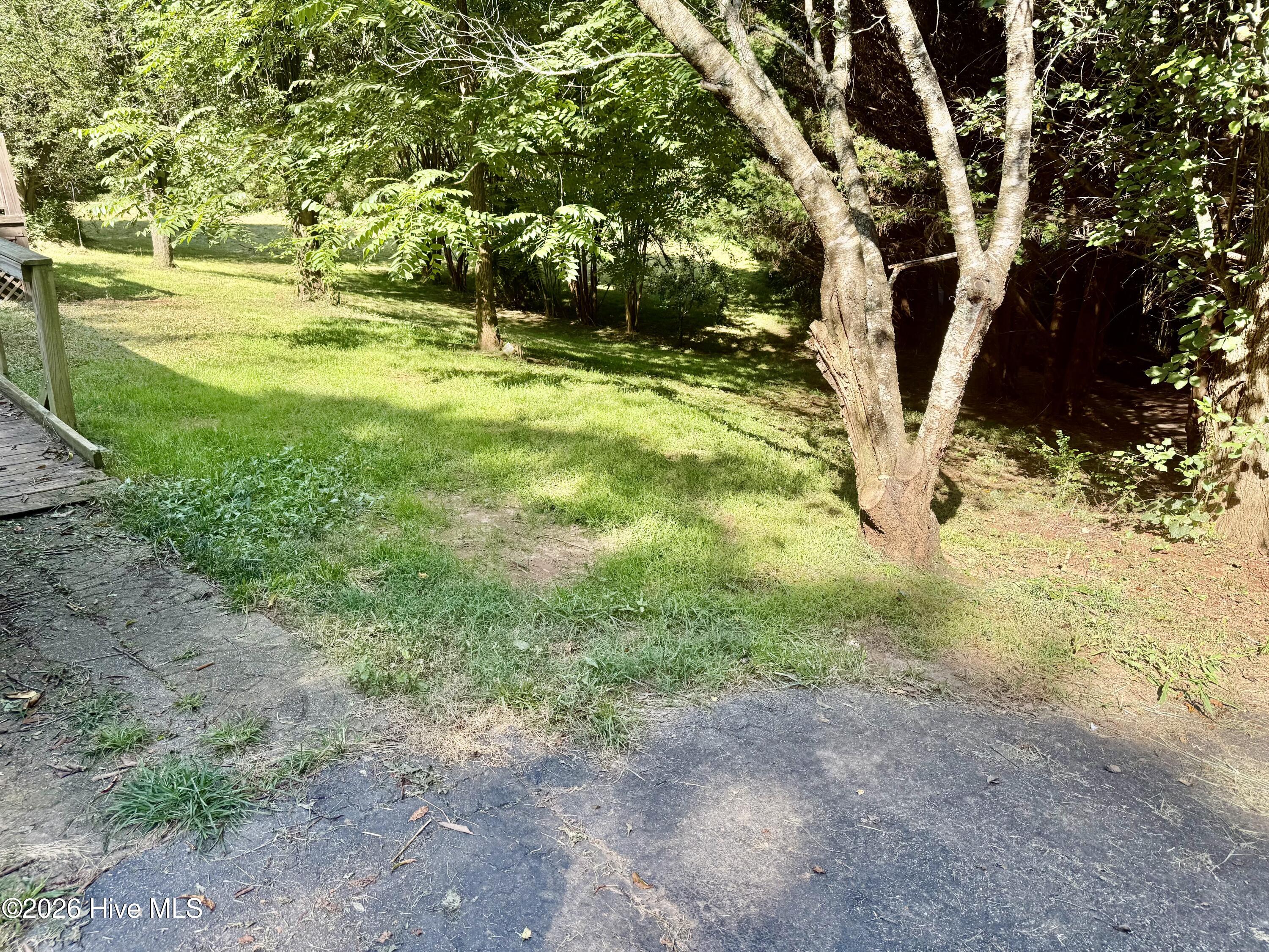100598118 | Photo 2