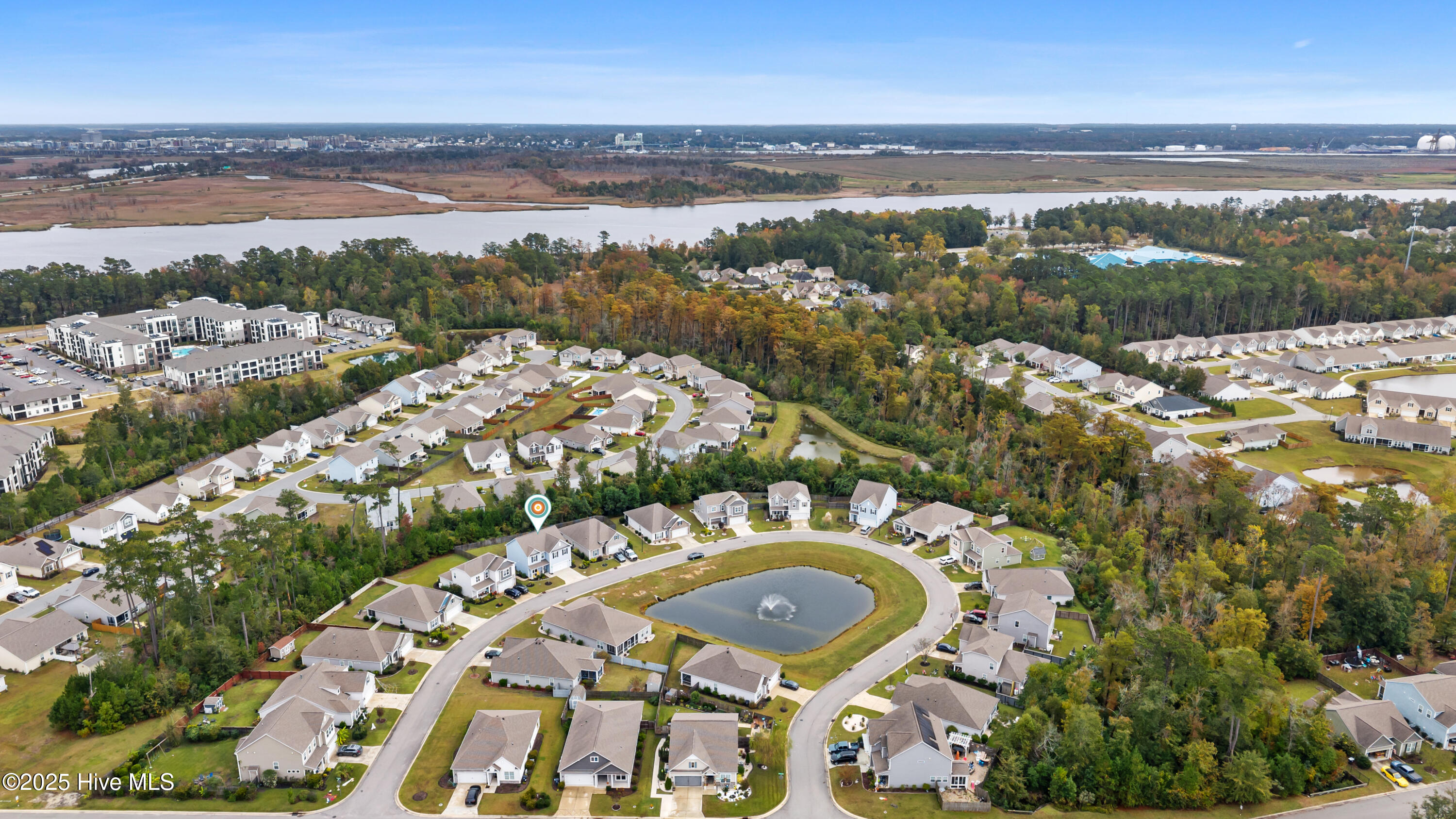 100539239 | Photo 39