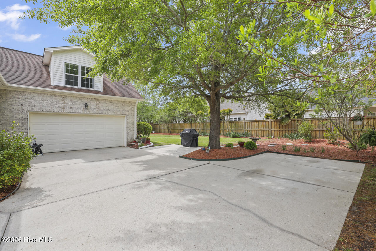 100554989 | Photo 38