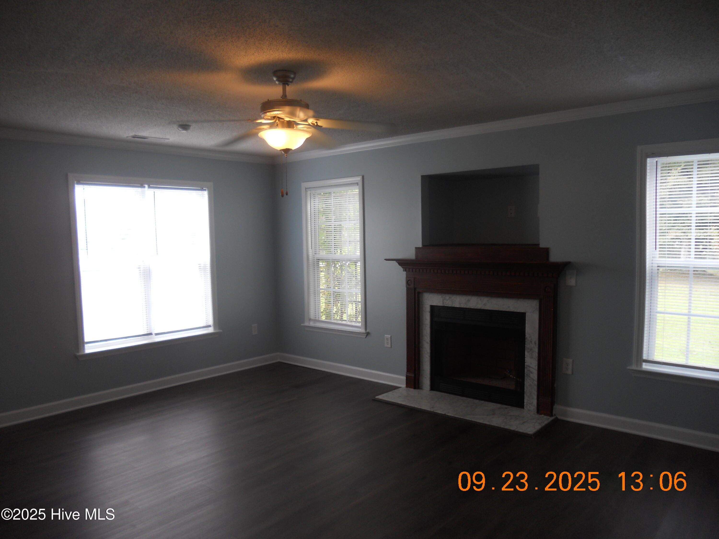 100532351 | Photo 17