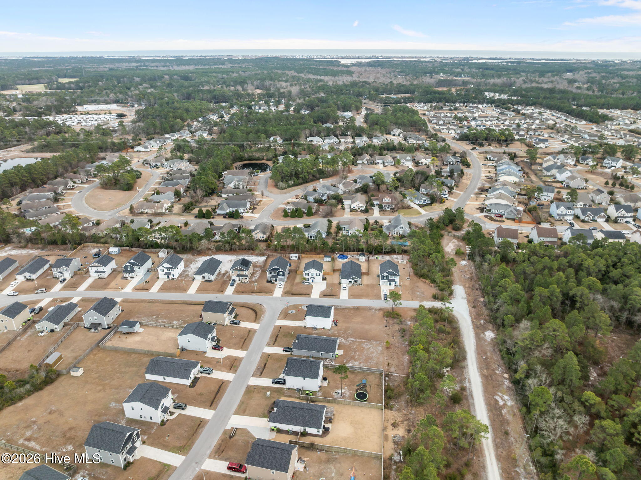 100552202 | Photo 21