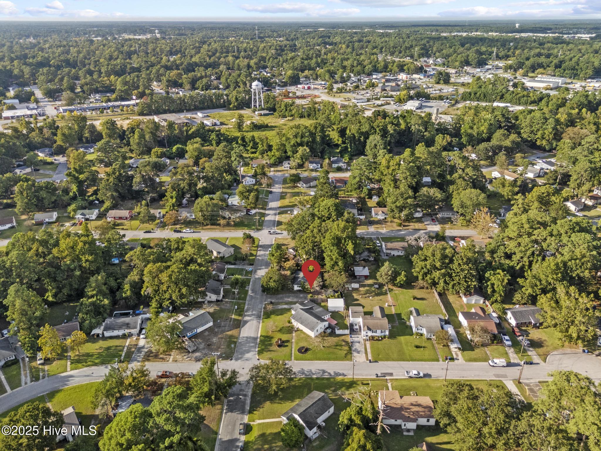 100532196 | Photo 37