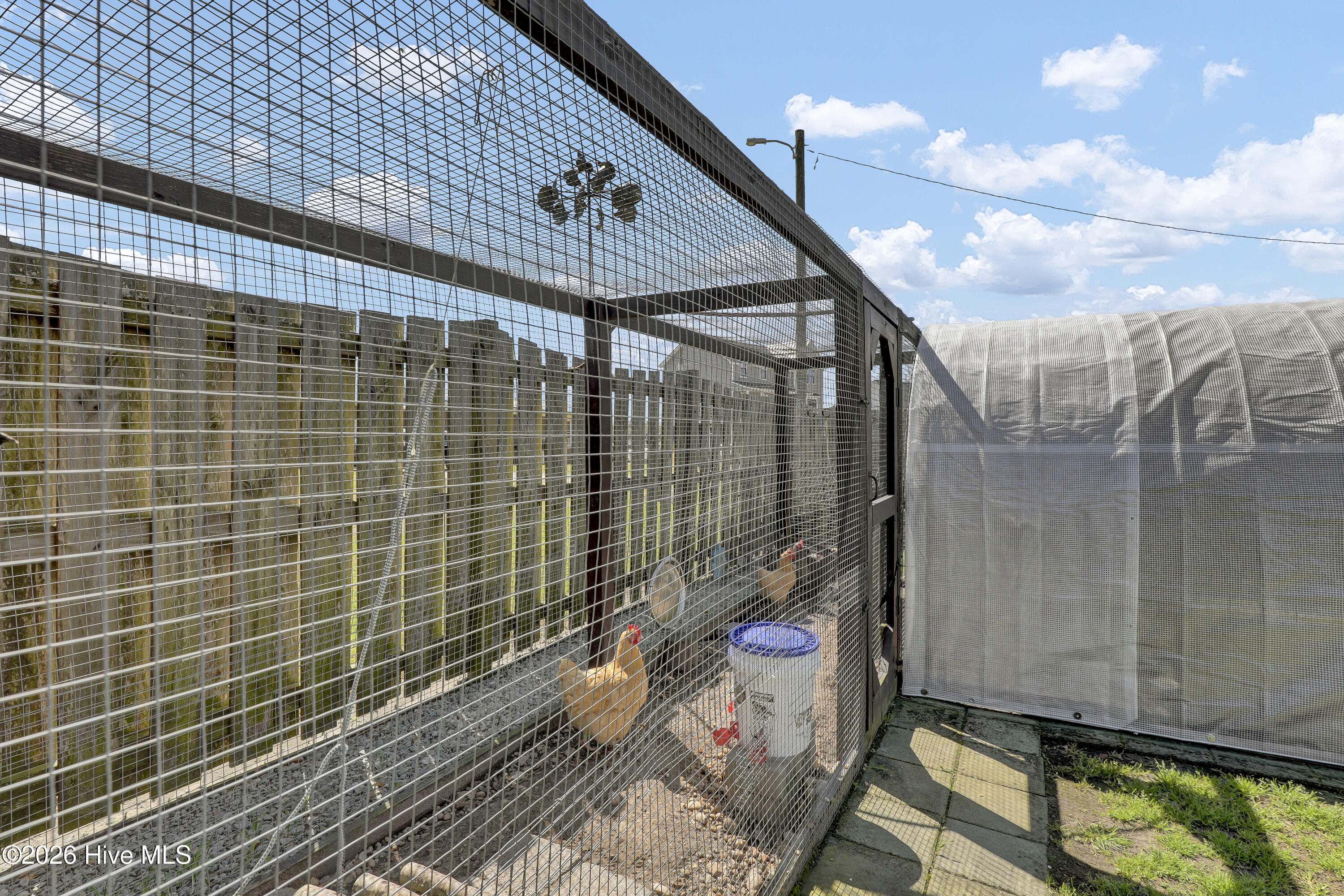 100561433 | Photo 35