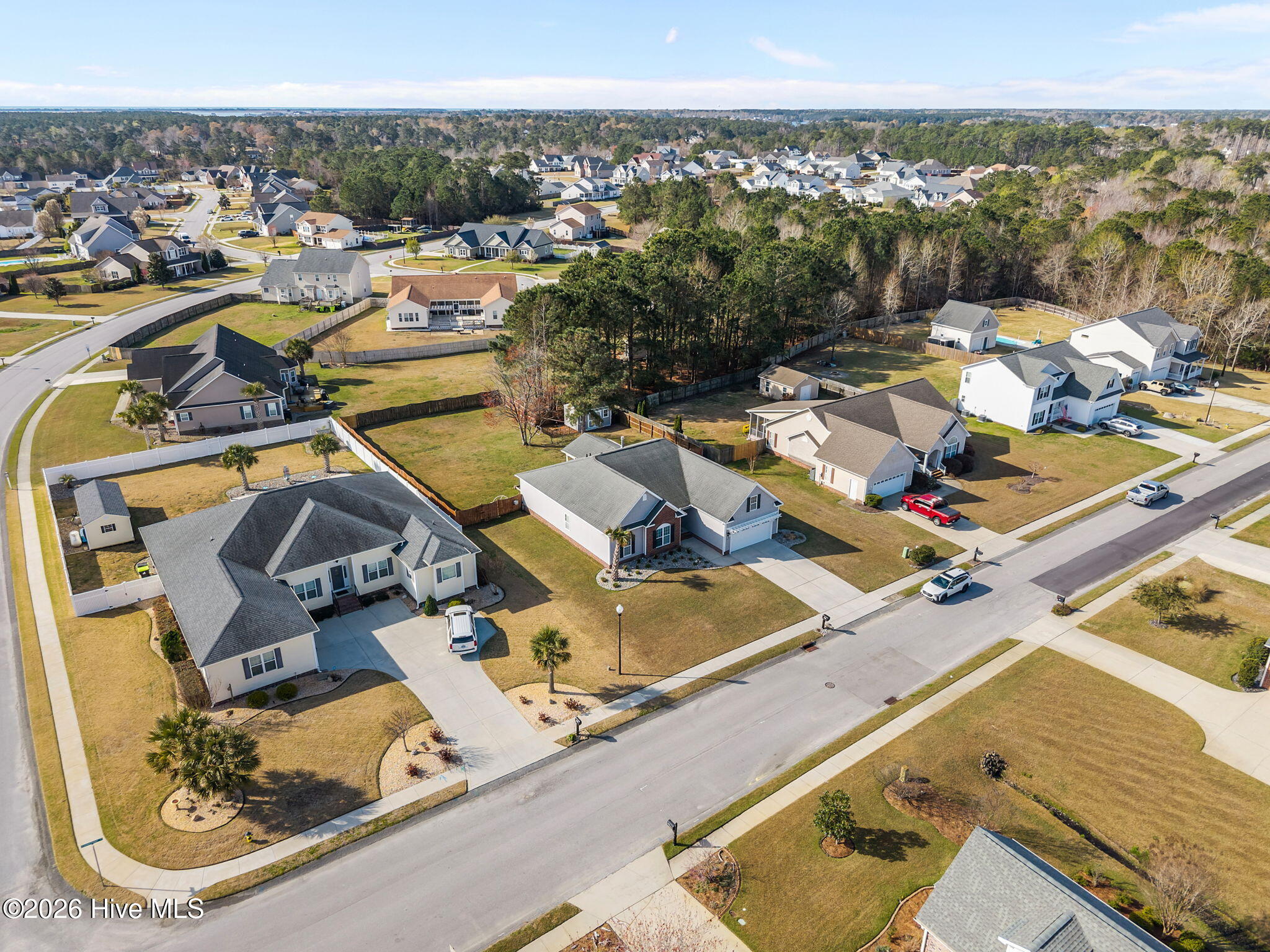 100558969 | Photo 13