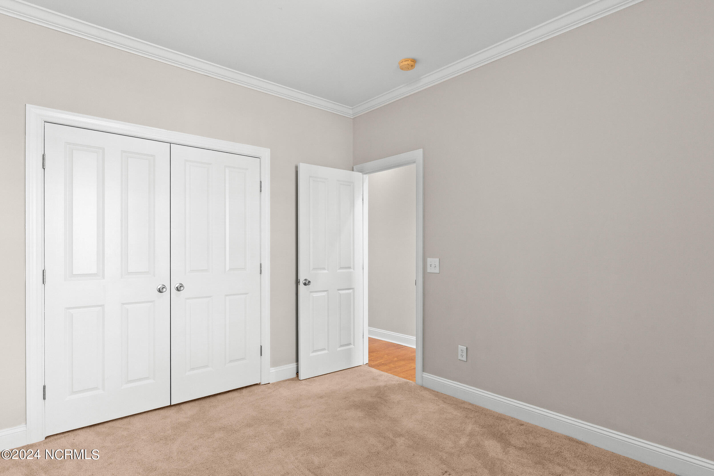 100564899 | Photo 23