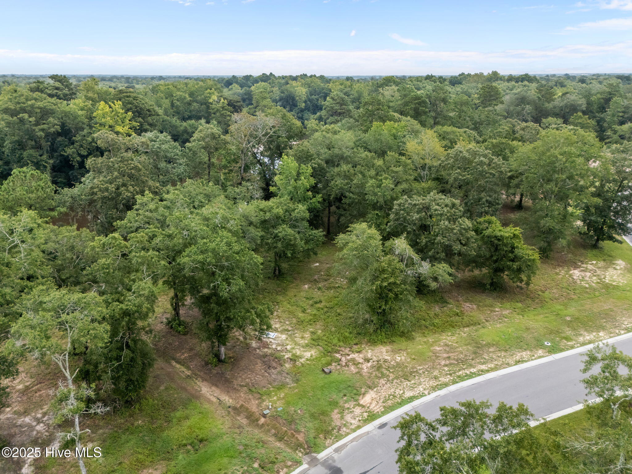 100523217 | Photo 16