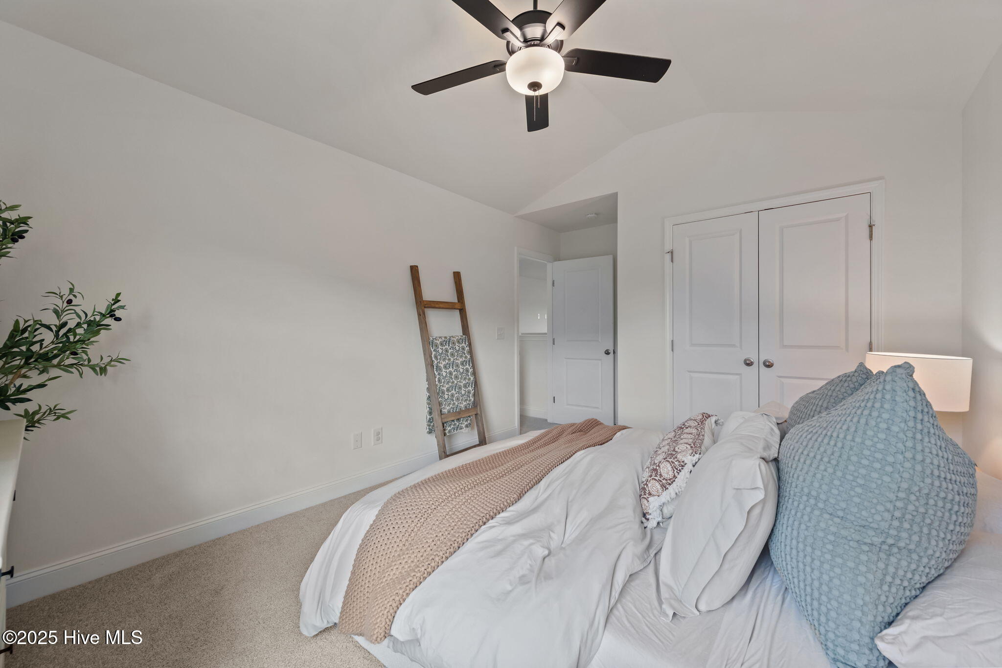 100547055 | Photo 30