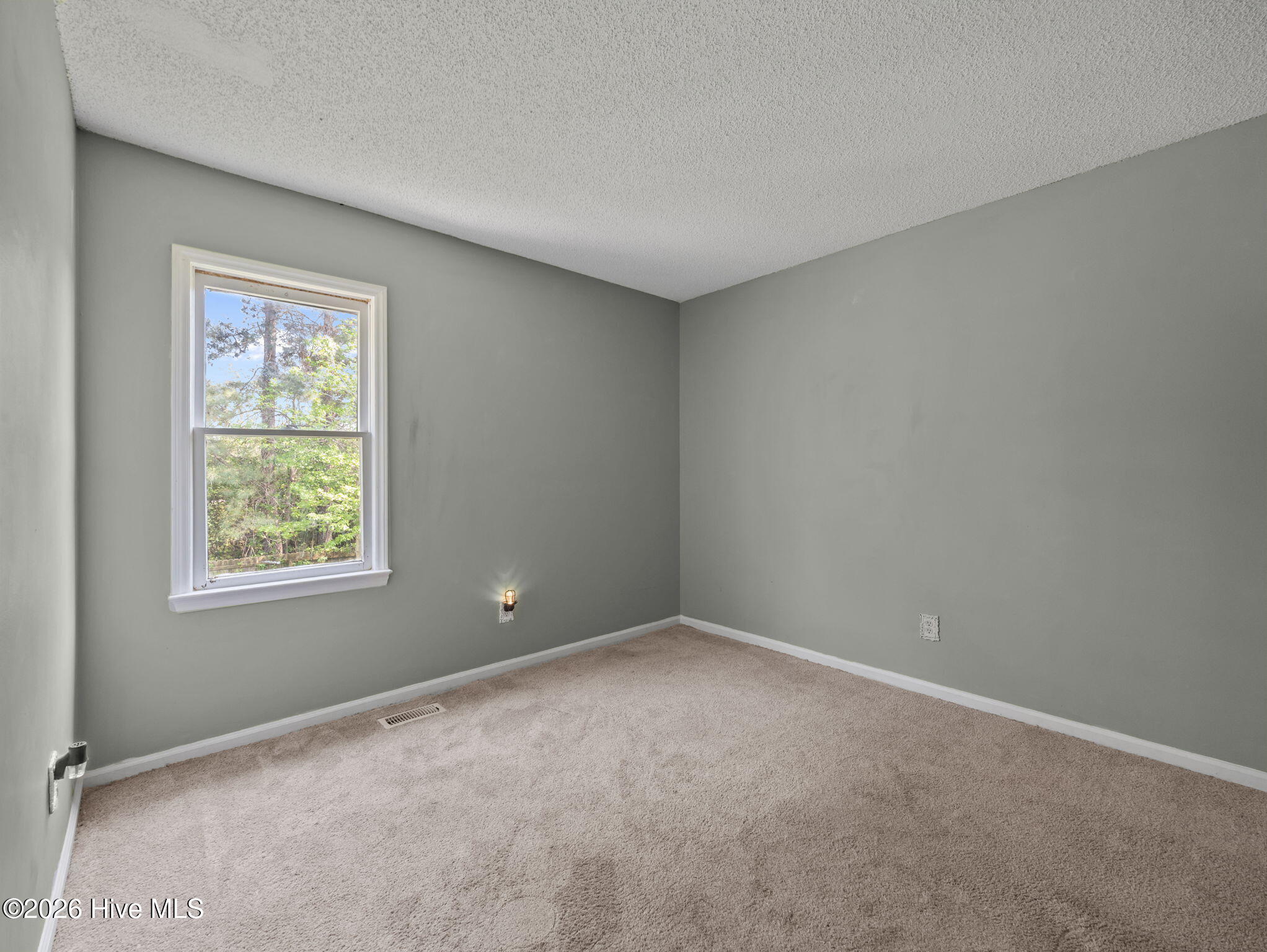 100567530 | Photo 21